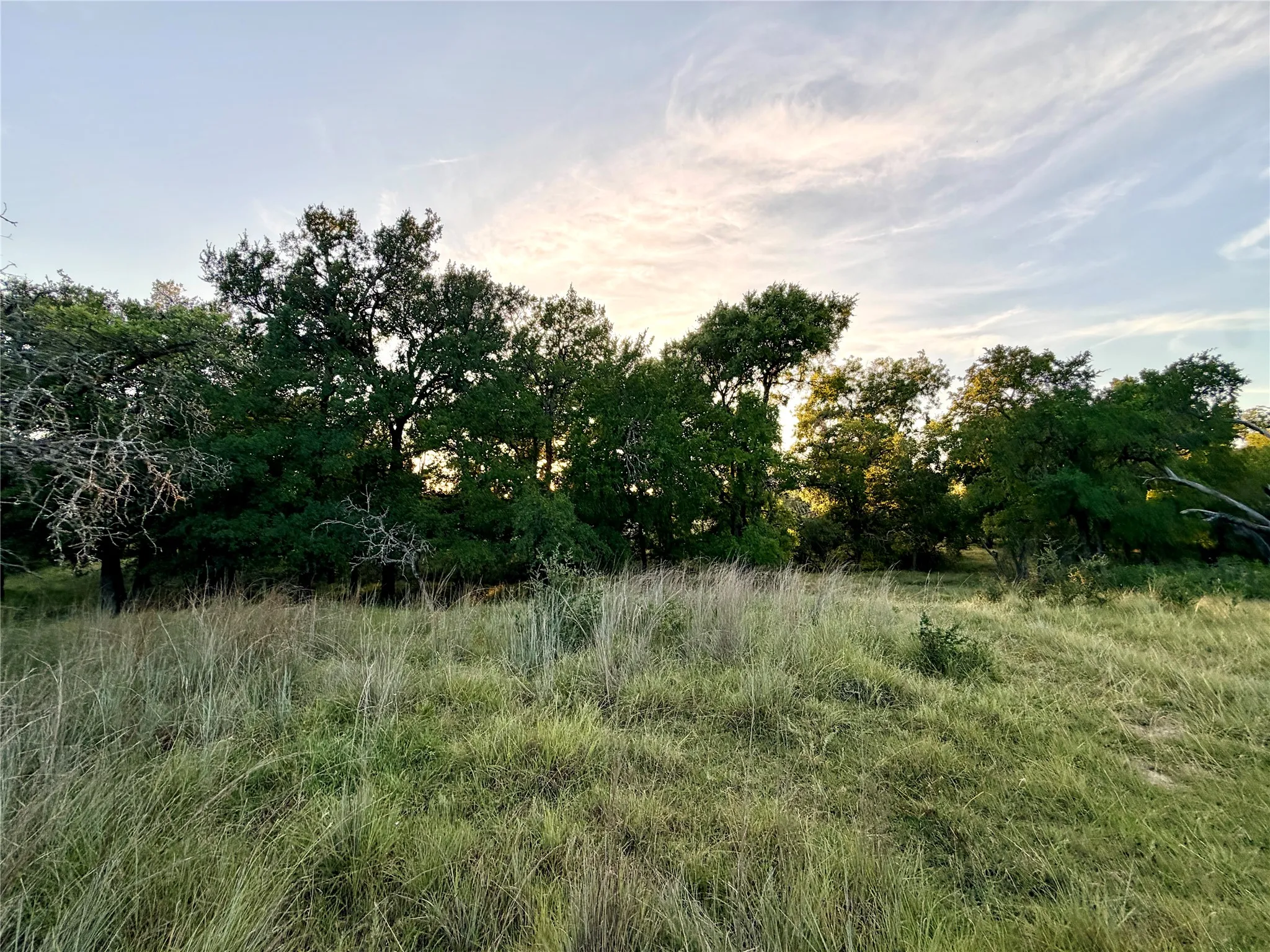 Unimproved Land For Sale in Mills County , 130 County Road 120, Goldthwaite, Texas 76844, 0, 0, Garage spaces, 0 Sqft, built in 0, Price $433,200, mls#21345159, Real Estate Agent in Goldthwaite, Homes For Sale in Mills county, Homes For Sale in Goldthwaite, Realtor in Goldthwaite Texas, Real Estate Brokerage Independent Realty Texas, Luminita Cordes Realtor