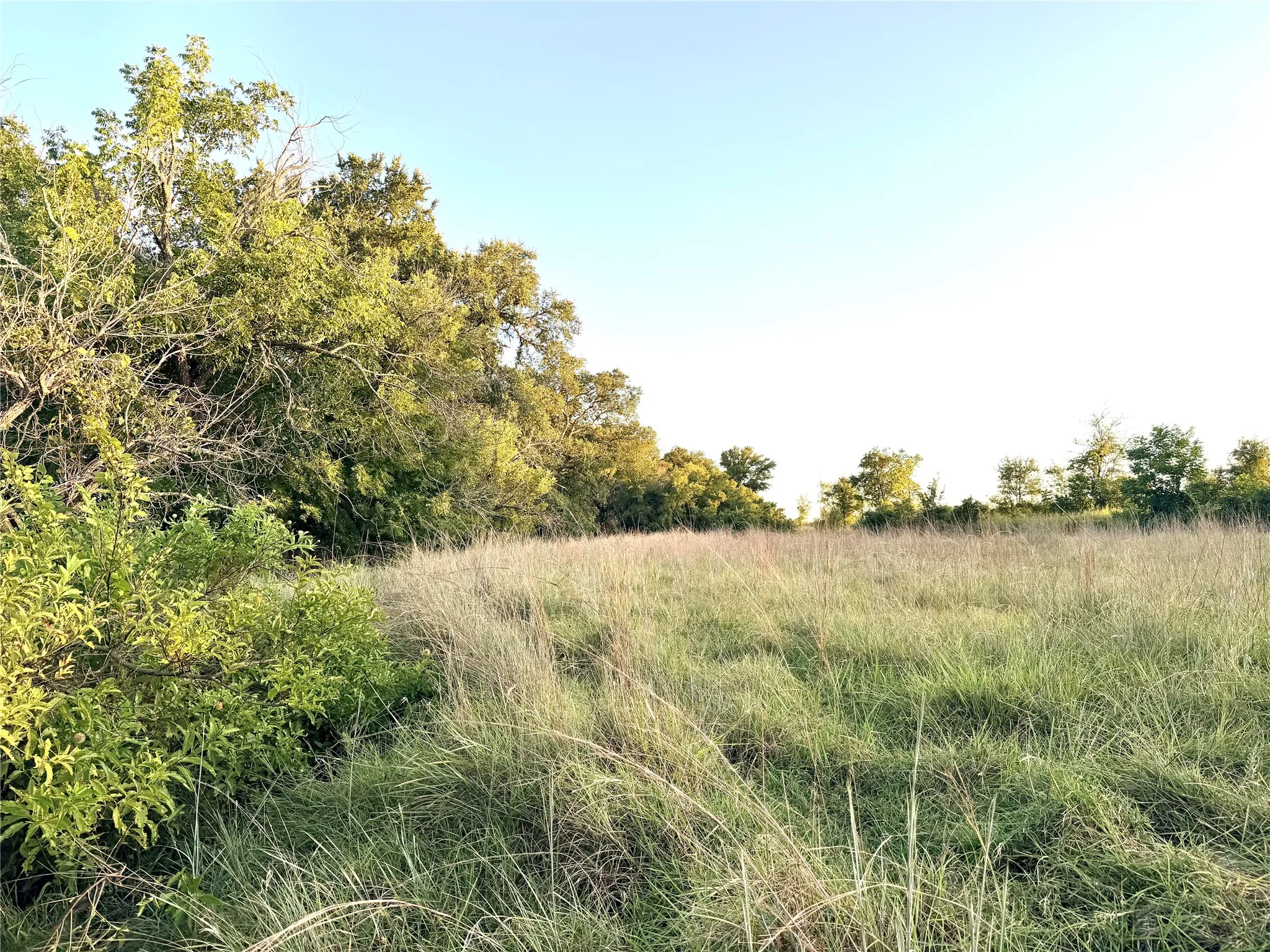 Unimproved Land For Sale in Mills County , 130 County Road 120, Goldthwaite, Texas 76844, 0, 0, Garage spaces, 0 Sqft, built in 0, Price $433,200, mls#21345159, Real Estate Agent in Goldthwaite, Homes For Sale in Mills county, Homes For Sale in Goldthwaite, Realtor in Goldthwaite Texas, Real Estate Brokerage Independent Realty Texas, Luminita Cordes Realtor