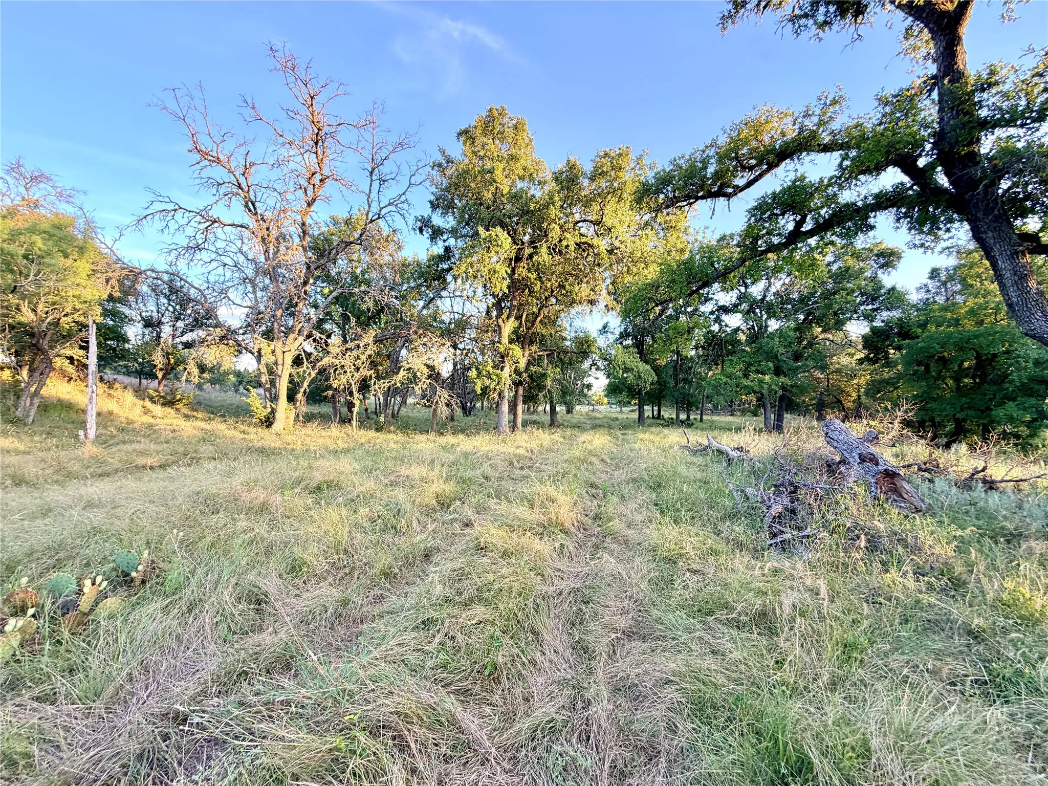 Unimproved Land For Sale in Mills County , 130 County Road 120, Goldthwaite, Texas 76844, 0, 0, Garage spaces, 0 Sqft, built in 0, Price $433,200, mls#21345159, Real Estate Agent in Goldthwaite, Homes For Sale in Mills county, Homes For Sale in Goldthwaite, Realtor in Goldthwaite Texas, Real Estate Brokerage Independent Realty Texas, Luminita Cordes Realtor