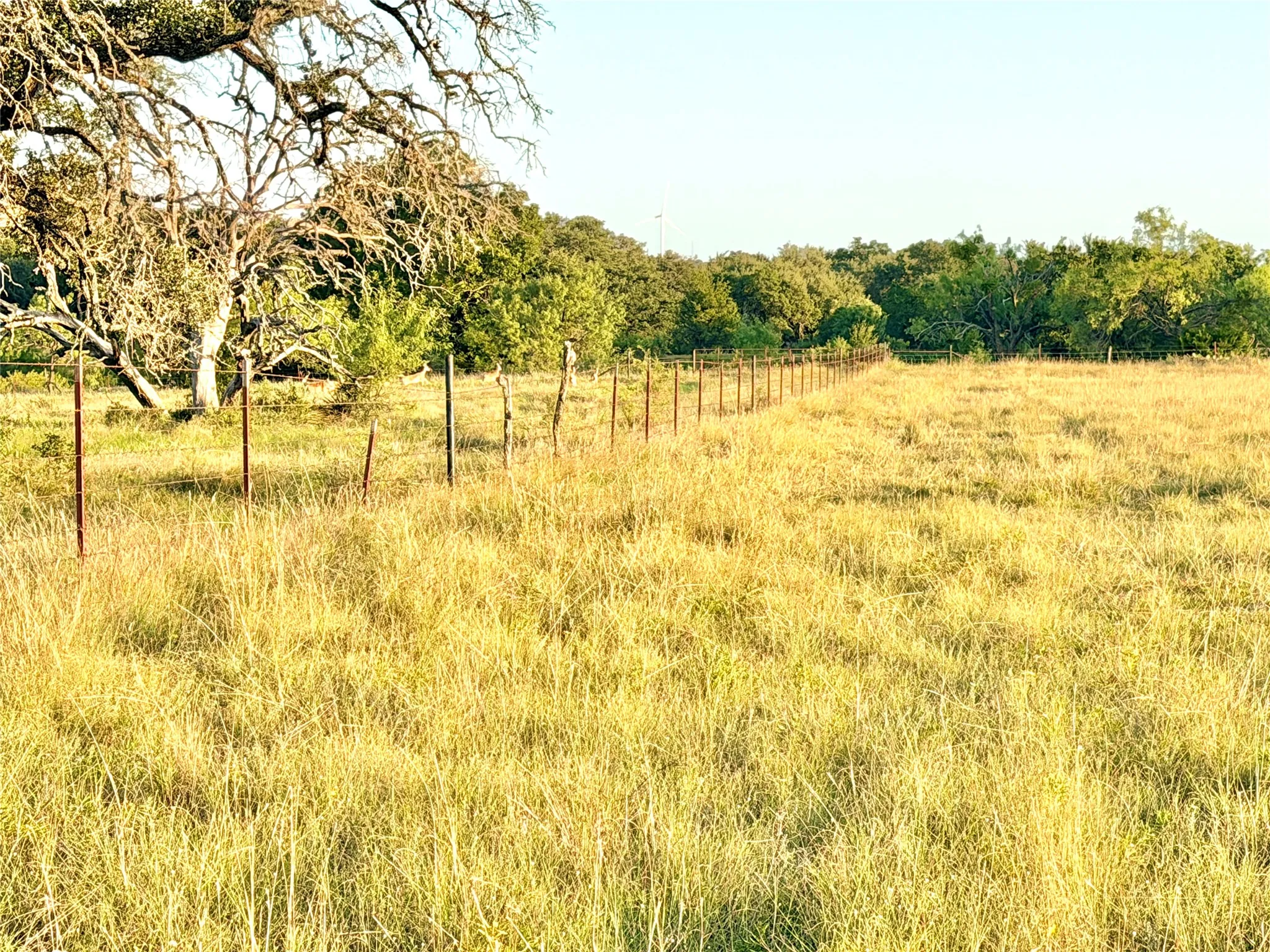 Unimproved Land For Sale in Mills County , 130 County Road 120, Goldthwaite, Texas 76844, 0, 0, Garage spaces, 0 Sqft, built in 0, Price $433,200, mls#21345159, Real Estate Agent in Goldthwaite, Homes For Sale in Mills county, Homes For Sale in Goldthwaite, Realtor in Goldthwaite Texas, Real Estate Brokerage Independent Realty Texas, Luminita Cordes Realtor