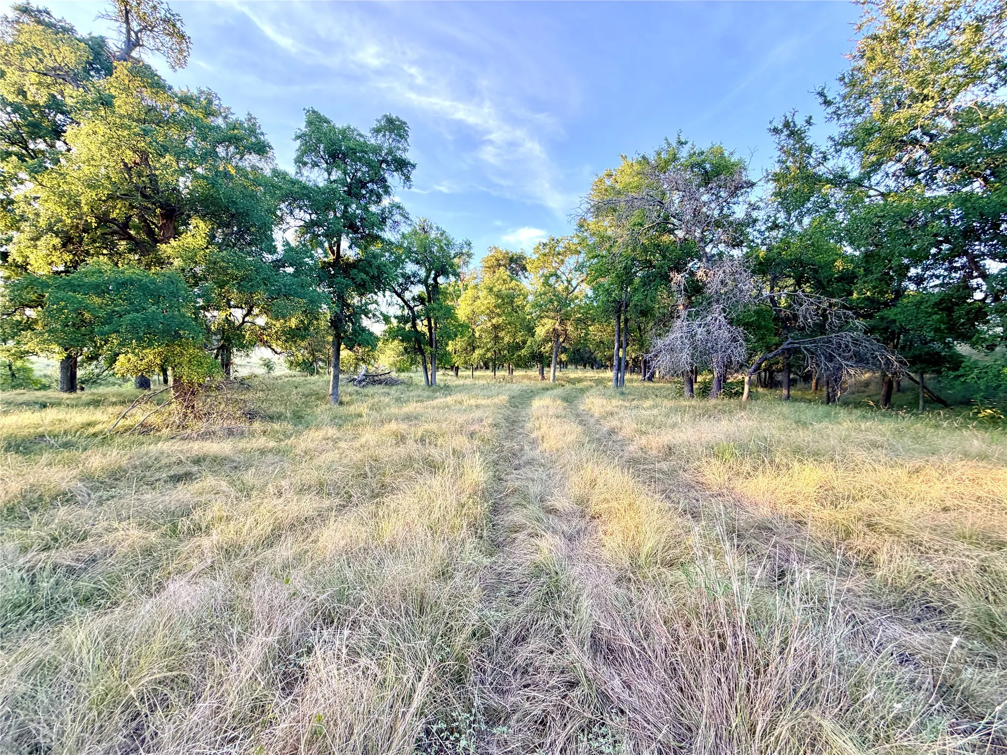 Unimproved Land For Sale in Mills County , 130 County Road 120, Goldthwaite, Texas 76844, 0, 0, Garage spaces, 0 Sqft, built in 0, Price $433,200, mls#21345159, Real Estate Agent in Goldthwaite, Homes For Sale in Mills county, Homes For Sale in Goldthwaite, Realtor in Goldthwaite Texas, Real Estate Brokerage Independent Realty Texas, Luminita Cordes Realtor
