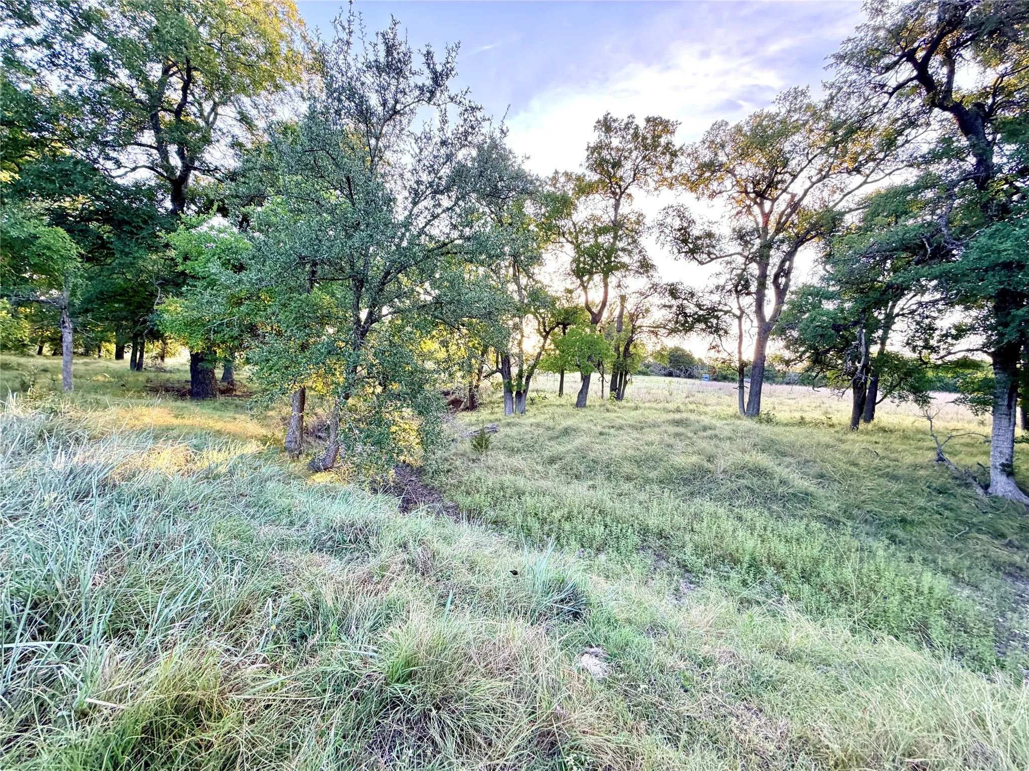 Unimproved Land For Sale in Mills County , 130 County Road 120, Goldthwaite, Texas 76844, 0, 0, Garage spaces, 0 Sqft, built in 0, Price $433,200, mls#21345159, Real Estate Agent in Goldthwaite, Homes For Sale in Mills county, Homes For Sale in Goldthwaite, Realtor in Goldthwaite Texas, Real Estate Brokerage Independent Realty Texas, Luminita Cordes Realtor
