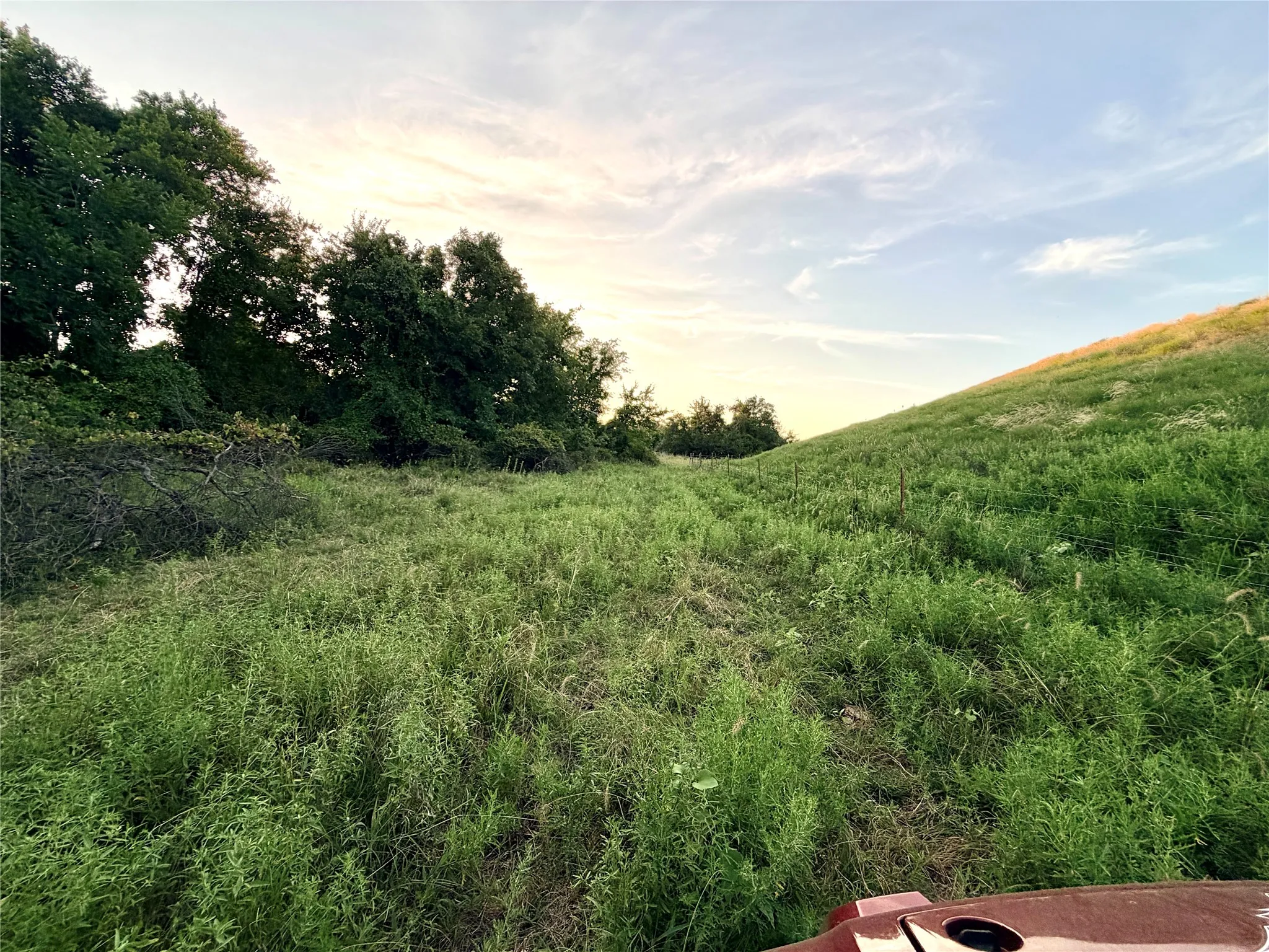 Unimproved Land For Sale in Mills County , 130 County Road 120, Goldthwaite, Texas 76844, 0, 0, Garage spaces, 0 Sqft, built in 0, Price $433,200, mls#21345159, Real Estate Agent in Goldthwaite, Homes For Sale in Mills county, Homes For Sale in Goldthwaite, Realtor in Goldthwaite Texas, Real Estate Brokerage Independent Realty Texas, Luminita Cordes Realtor