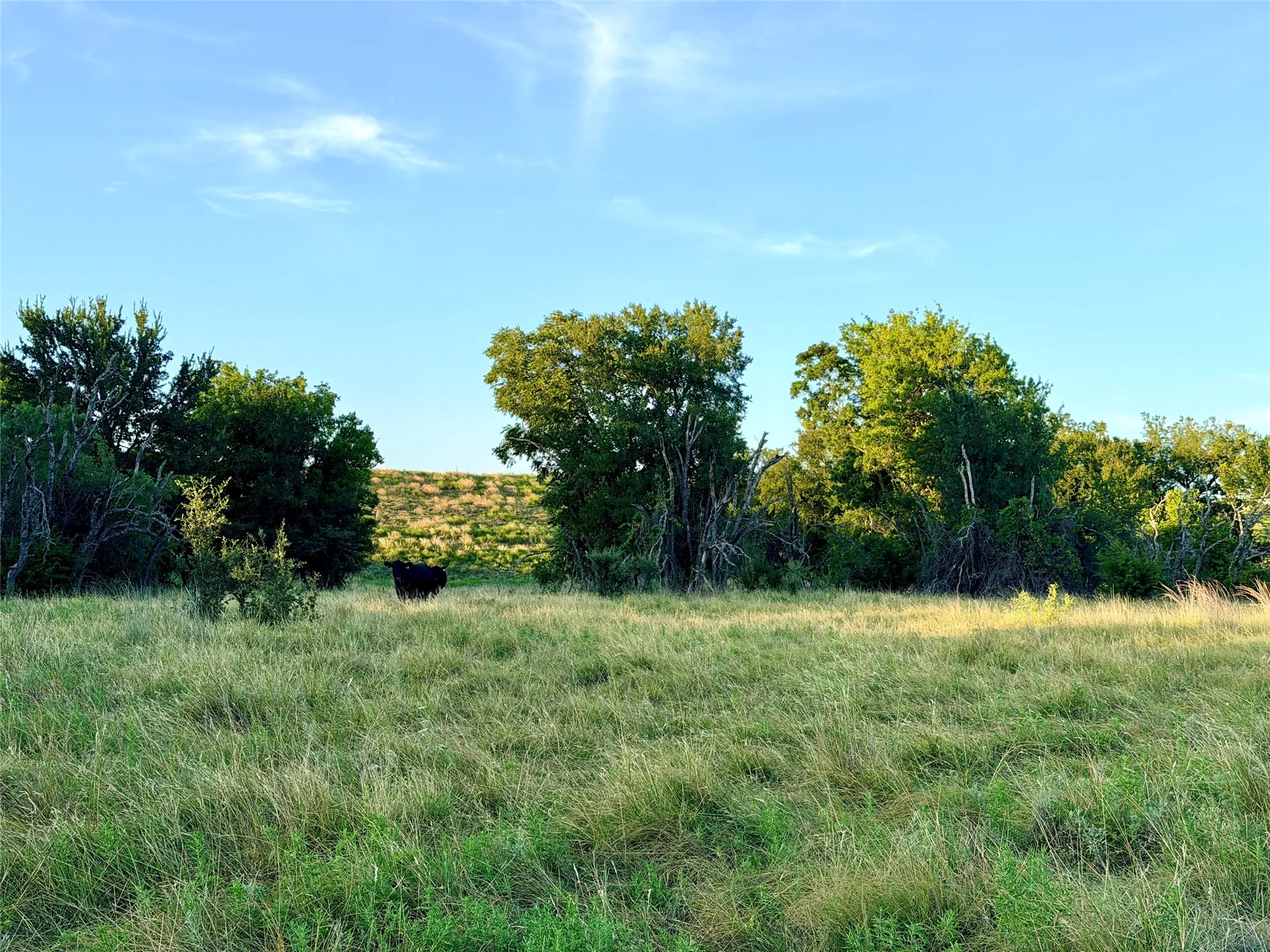 Unimproved Land For Sale in Mills County , 130 County Road 120, Goldthwaite, Texas 76844, 0, 0, Garage spaces, 0 Sqft, built in 0, Price $433,200, mls#21345159, Real Estate Agent in Goldthwaite, Homes For Sale in Mills county, Homes For Sale in Goldthwaite, Realtor in Goldthwaite Texas, Real Estate Brokerage Independent Realty Texas, Luminita Cordes Realtor