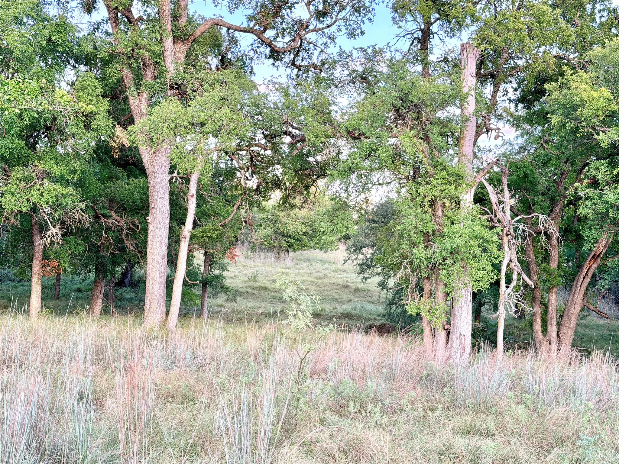 Unimproved Land For Sale in Mills County , 130 County Road 120, Goldthwaite, Texas 76844, 0, 0, Garage spaces, 0 Sqft, built in 0, Price $433,200, mls#21345159, Real Estate Agent in Goldthwaite, Homes For Sale in Mills county, Homes For Sale in Goldthwaite, Realtor in Goldthwaite Texas, Real Estate Brokerage Independent Realty Texas, Luminita Cordes Realtor
