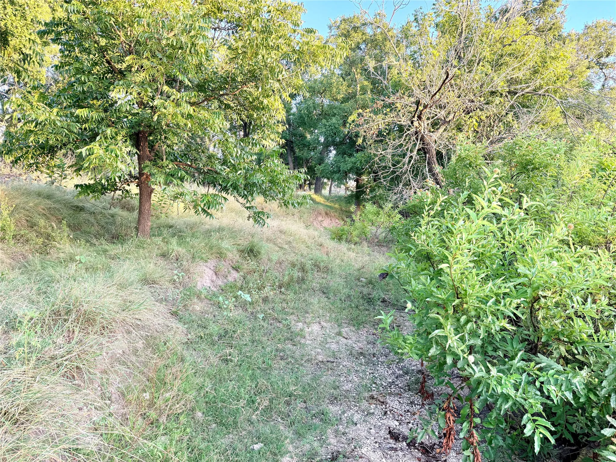 Unimproved Land For Sale in Mills County , 130 County Road 120, Goldthwaite, Texas 76844, 0, 0, Garage spaces, 0 Sqft, built in 0, Price $433,200, mls#21345159, Real Estate Agent in Goldthwaite, Homes For Sale in Mills county, Homes For Sale in Goldthwaite, Realtor in Goldthwaite Texas, Real Estate Brokerage Independent Realty Texas, Luminita Cordes Realtor