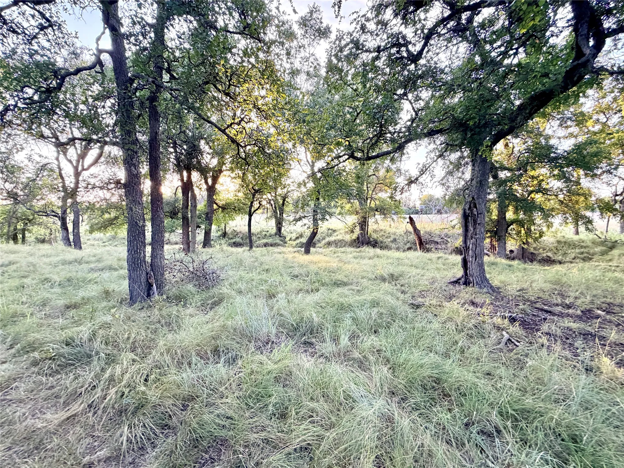 Unimproved Land For Sale in Mills County , 130 County Road 120, Goldthwaite, Texas 76844, 0, 0, Garage spaces, 0 Sqft, built in 0, Price $433,200, mls#21345159, Real Estate Agent in Goldthwaite, Homes For Sale in Mills county, Homes For Sale in Goldthwaite, Realtor in Goldthwaite Texas, Real Estate Brokerage Independent Realty Texas, Luminita Cordes Realtor