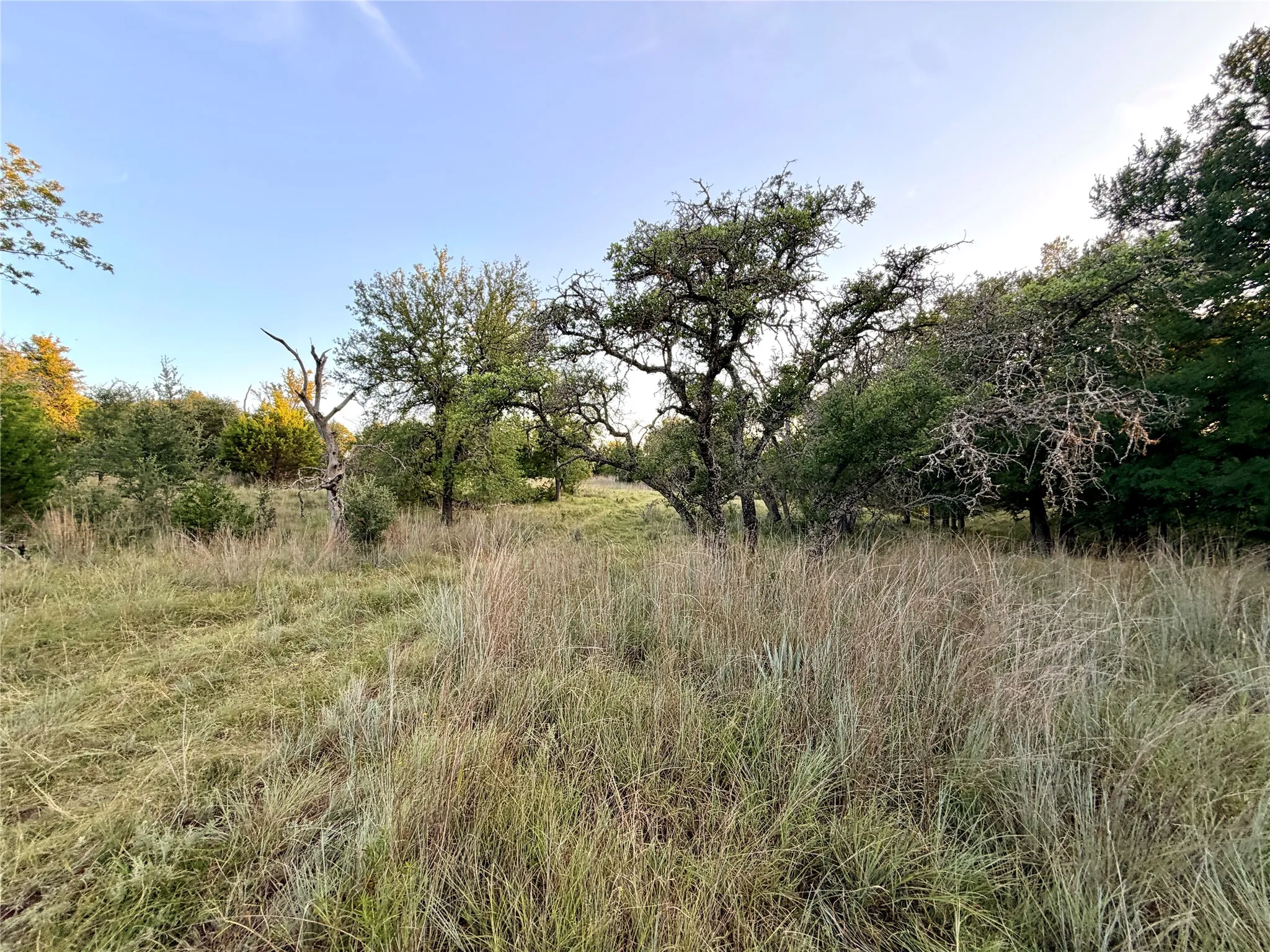 Unimproved Land For Sale in Mills County , 130 County Road 120, Goldthwaite, Texas 76844, 0, 0, Garage spaces, 0 Sqft, built in 0, Price $433,200, mls#21345159, Real Estate Agent in Goldthwaite, Homes For Sale in Mills county, Homes For Sale in Goldthwaite, Realtor in Goldthwaite Texas, Real Estate Brokerage Independent Realty Texas, Luminita Cordes Realtor
