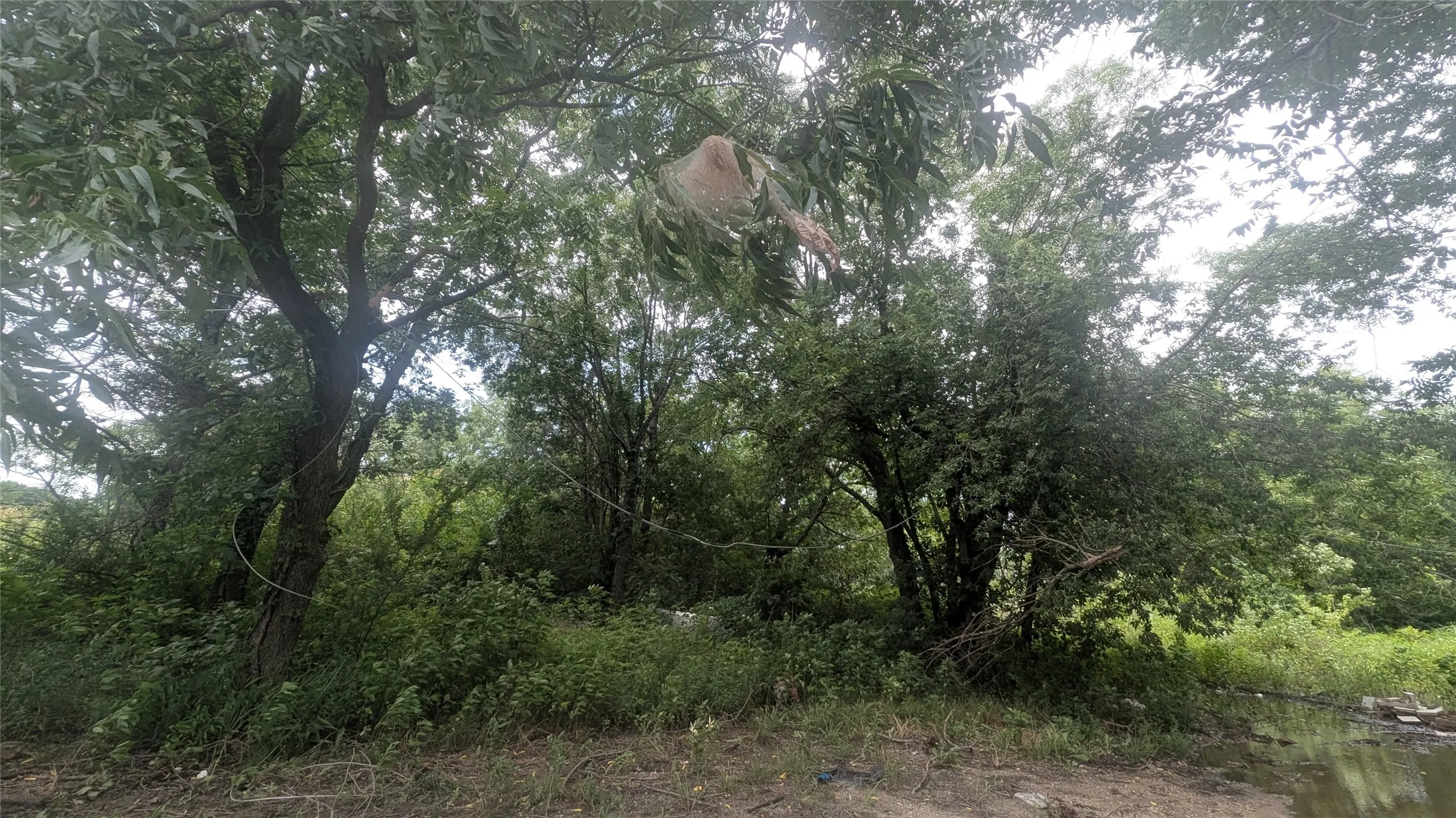Improved Land For Sale in Grayson County , 4829 Adobe Lane, Denison, Texas 75020, 0, 0, Garage spaces, 0 Sqft, built in 0, Price $35,000, mls#21320081, Real Estate Agent in Denison, Homes For Sale in Grayson county, Homes For Sale in Denison, Realtor in Denison Texas, Real Estate Brokerage Independent Realty Texas, Luminita Cordes Realtor