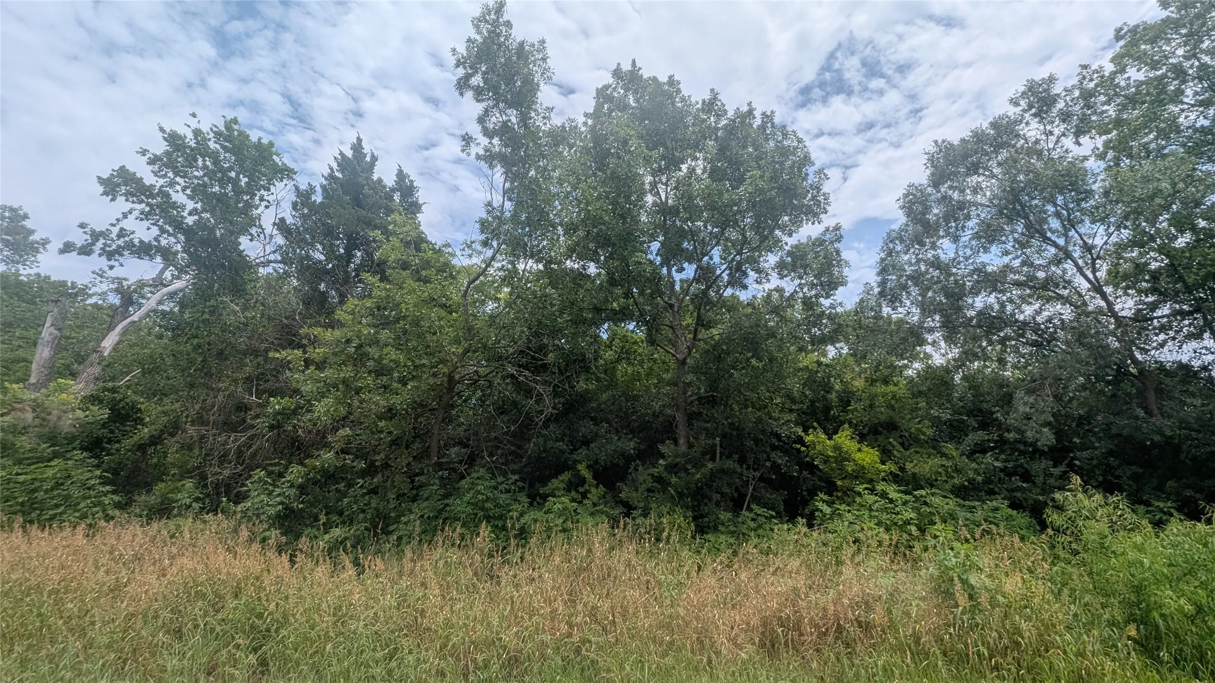 Improved Land For Sale in Grayson County , 4829 Adobe Lane, Denison, Texas 75020, 0, 0, Garage spaces, 0 Sqft, built in 0, Price $35,000, mls#21320081, Real Estate Agent in Denison, Homes For Sale in Grayson county, Homes For Sale in Denison, Realtor in Denison Texas, Real Estate Brokerage Independent Realty Texas, Luminita Cordes Realtor