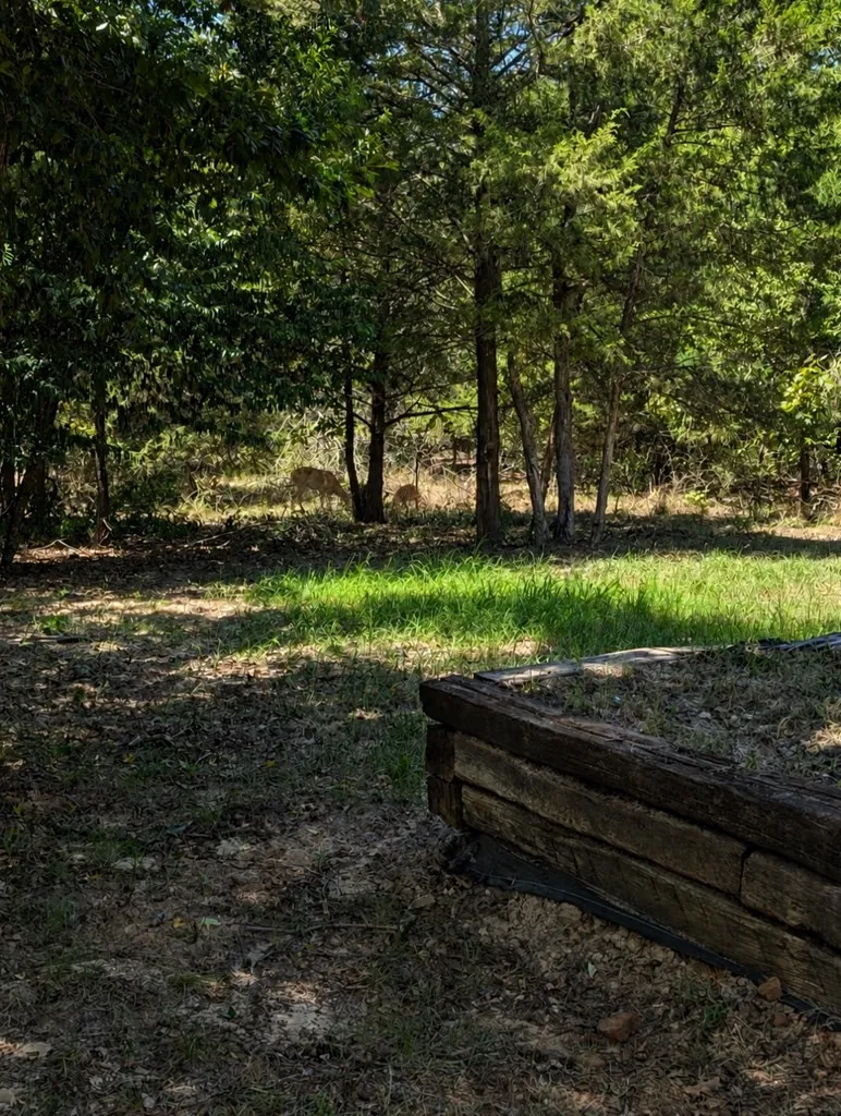 Single Family Residence For Sale in Van Zandt County , 469 Holly Glen, Murchison, Texas 75156, 3 Bedroom, 2 Bathroom, Garage spaces, 2,100 Sqft, built in 2024, mls#21345504, Real Estate Agent in Murchison, Homes For Sale in Van Zandt county, Homes For Sale in Murchison, Realtor in Murchison Texas, Real Estate Brokerage Independent Realty Texas, Luminita Cordes Realtor