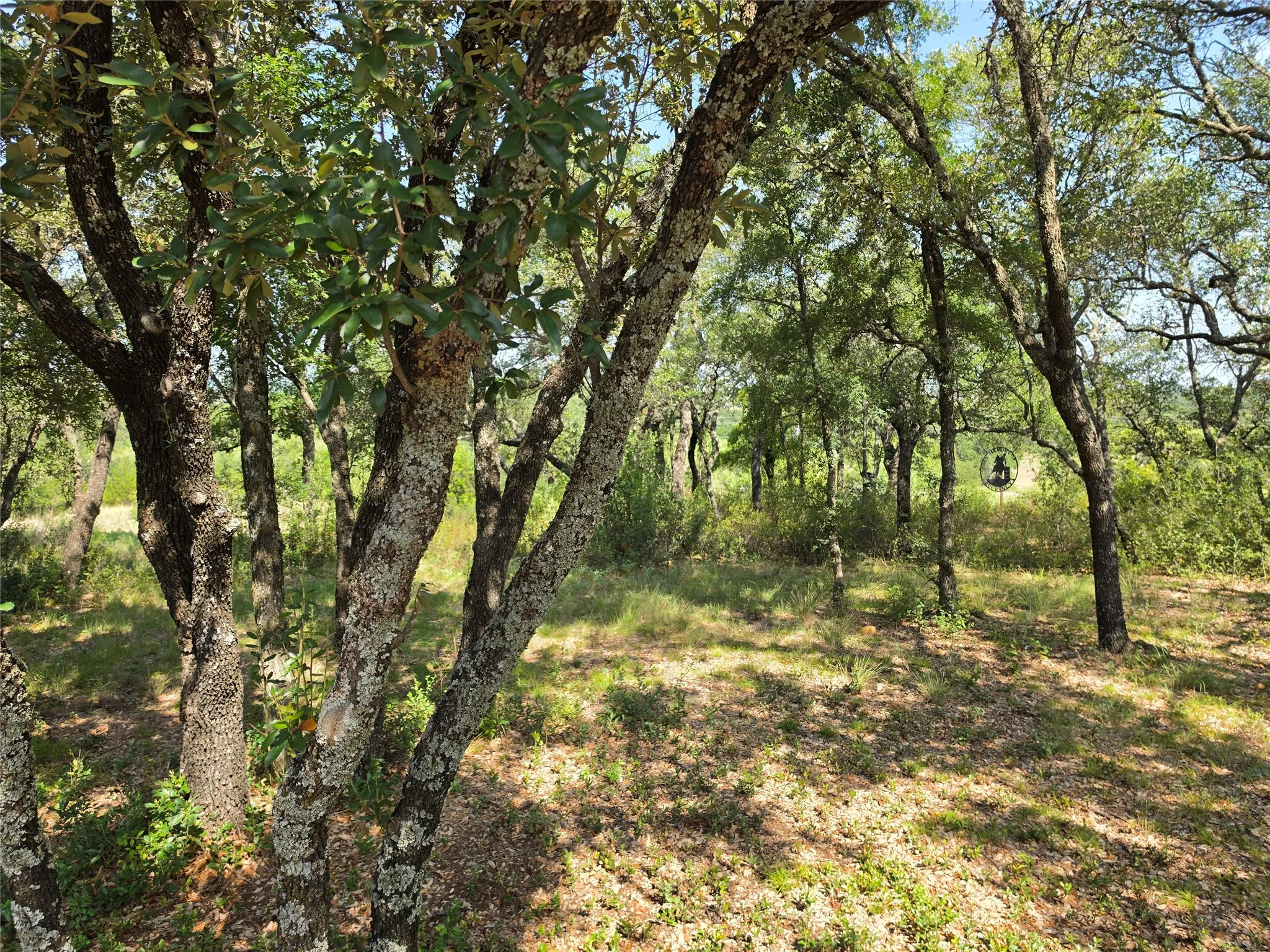 Single Family Residence For Sale in Brown County , 1705 County Road 318, Early, Texas 76802, 3 Bedroom, 2 Bathroom, Garage spaces, 1,948 Sqft, built in 2022, mls#21345512, Real Estate Agent in Early, Homes For Sale in Brown county, Homes For Sale in Early, Realtor in Early Texas, Real Estate Brokerage Independent Realty Texas, Luminita Cordes Realtor