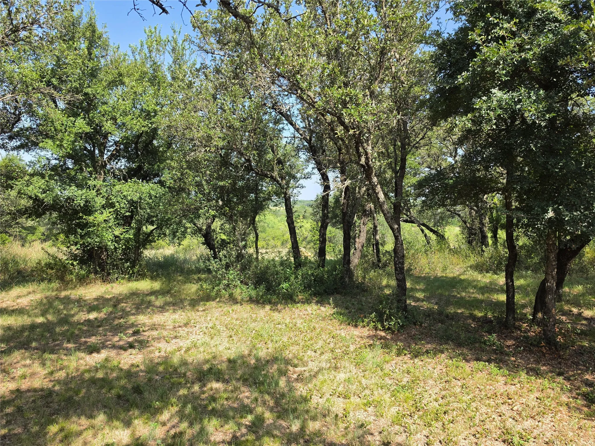 Single Family Residence For Sale in Brown County , 1705 County Road 318, Early, Texas 76802, 3 Bedroom, 2 Bathroom, Garage spaces, 1,948 Sqft, built in 2022, mls#21345512, Real Estate Agent in Early, Homes For Sale in Brown county, Homes For Sale in Early, Realtor in Early Texas, Real Estate Brokerage Independent Realty Texas, Luminita Cordes Realtor