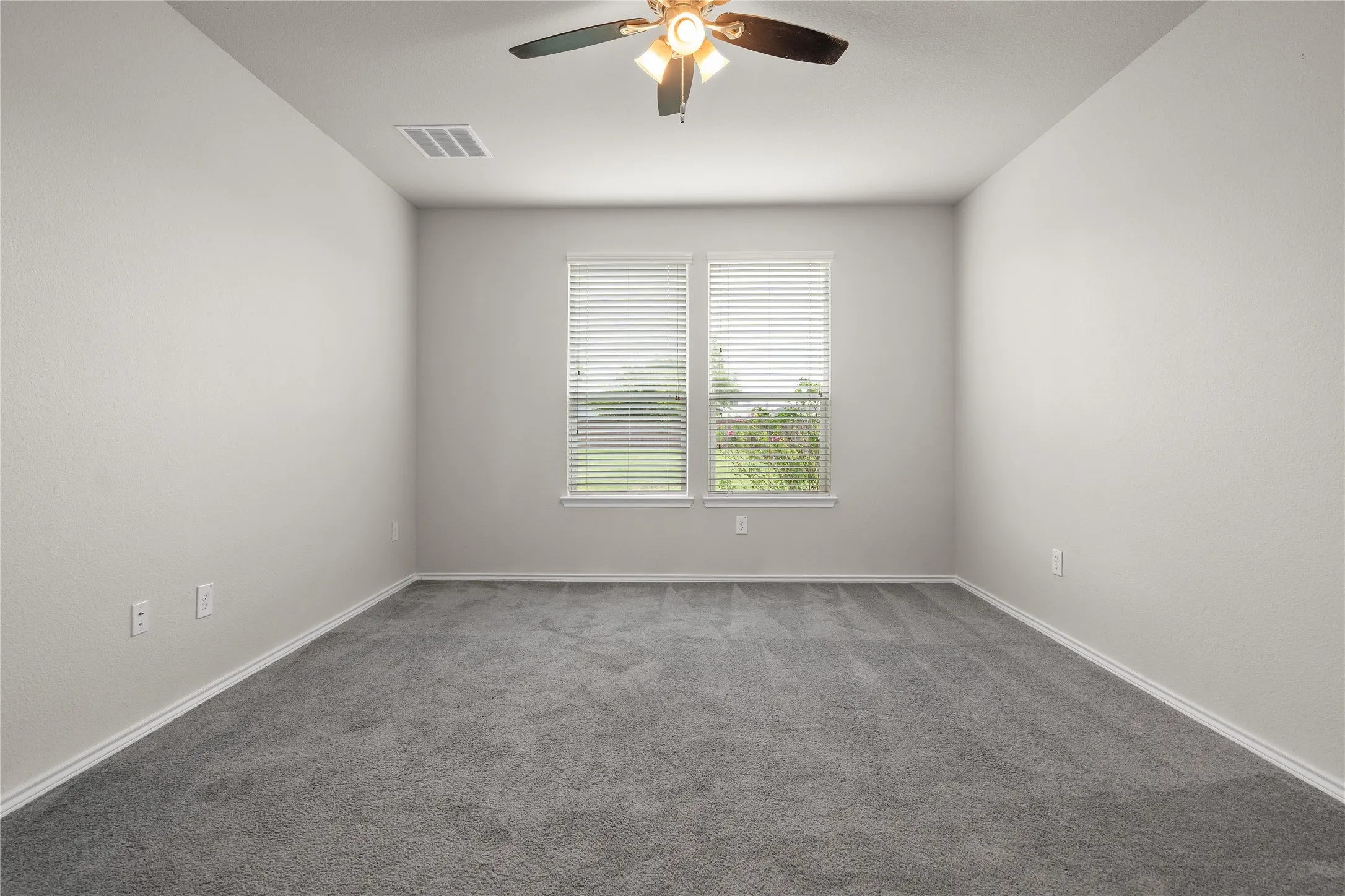 Primary Bedroom (downstairs)