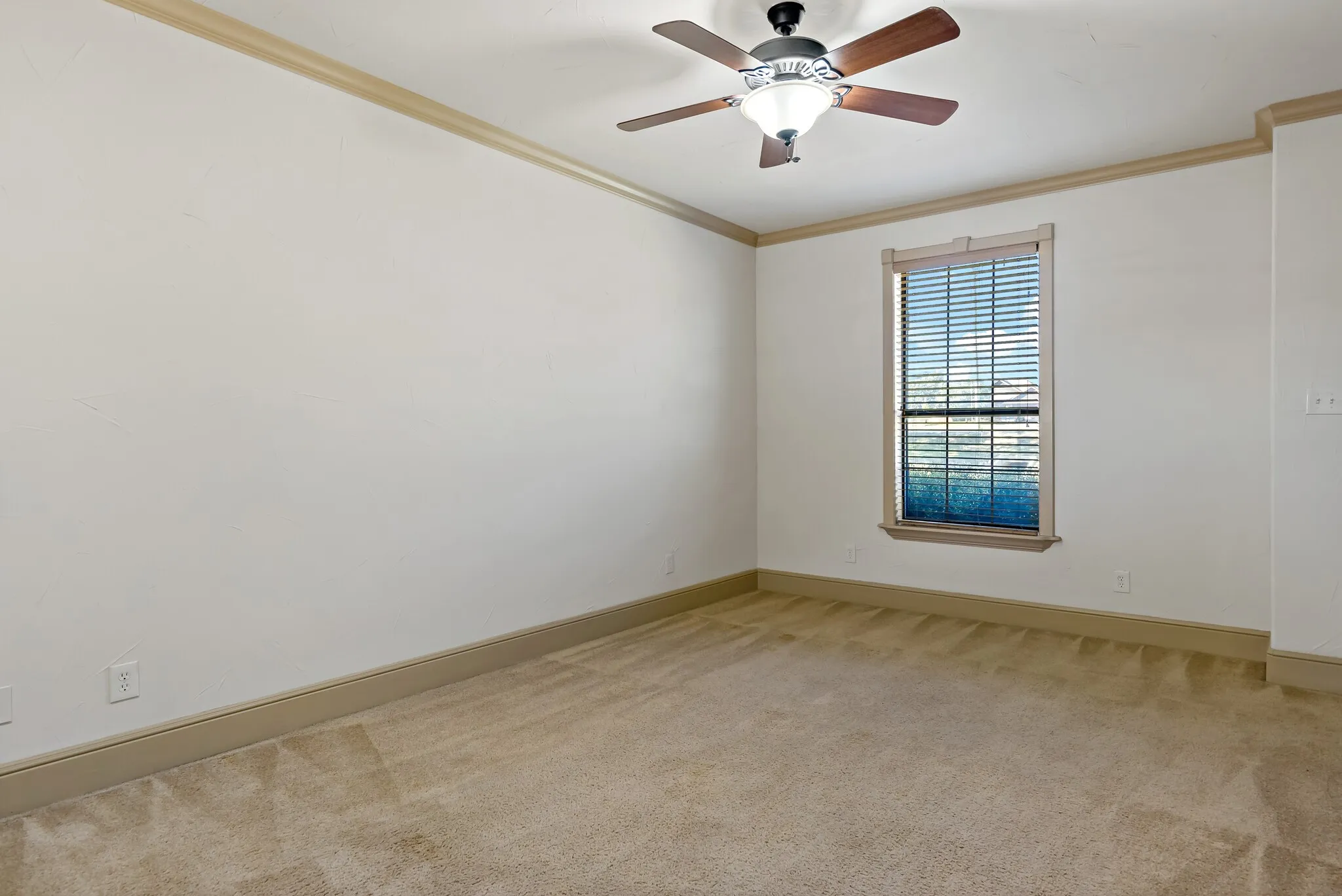 Carpeted room featuring a ceiling fan with light fixture, window with blinds, and contrasting crown molding and baseboards