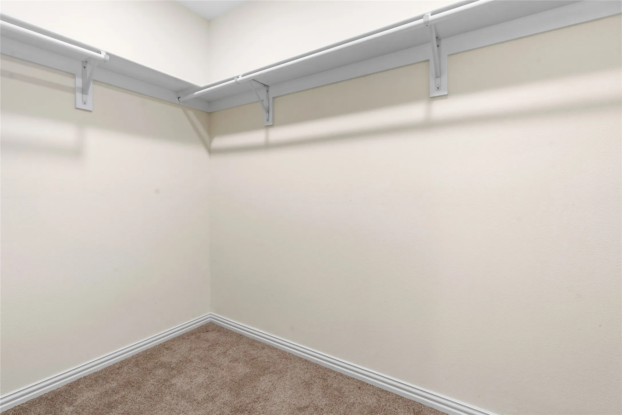 Walk-in closet featuring light beige walls, white trim, and brown carpet flooring