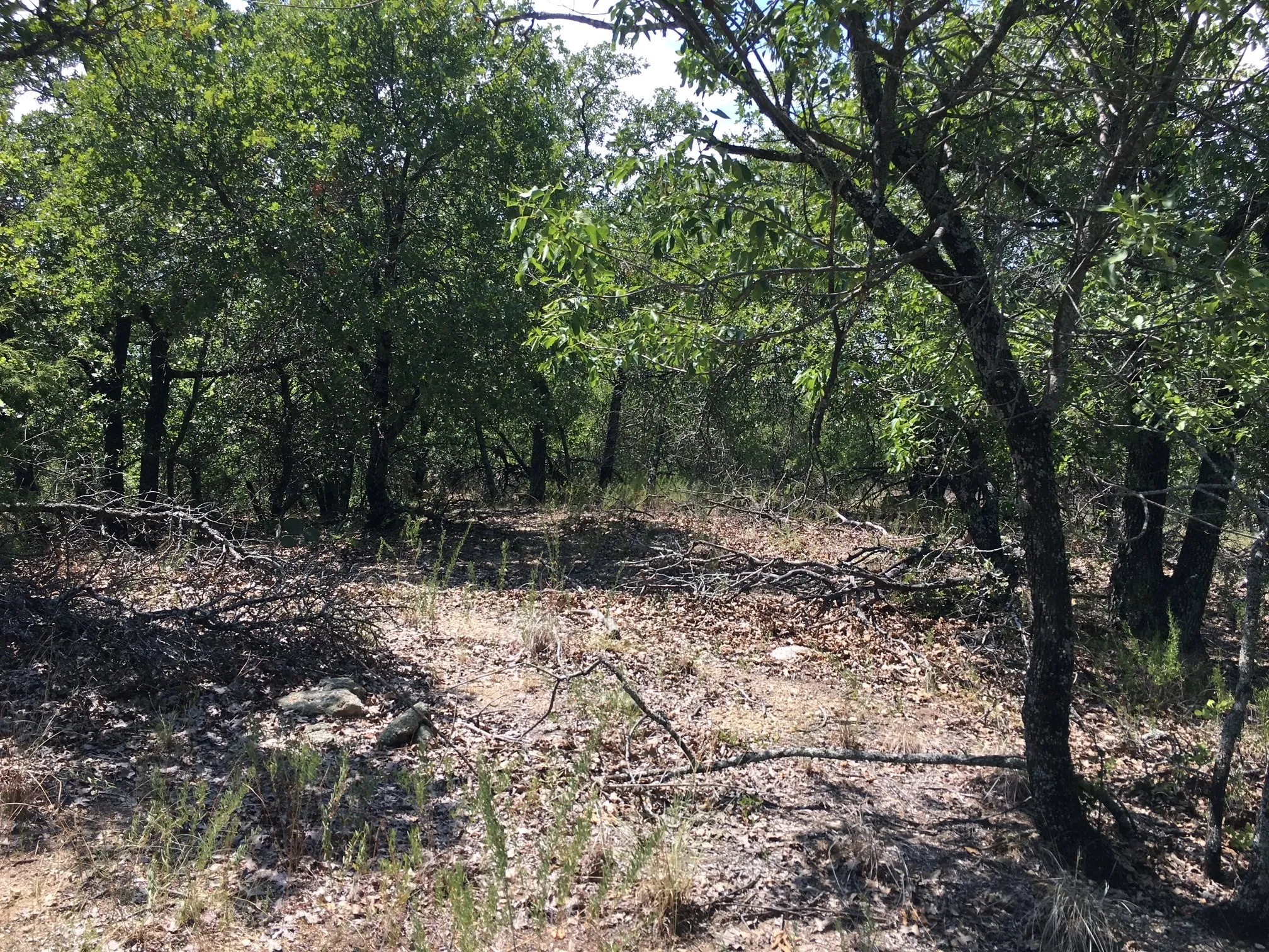 Unimproved Land For Sale in Montague County , Lot 457 Lakeside Drive, Bowie, Texas 76230, 0, 0, Garage spaces, 0 Sqft, built in 0, mls#21345638, Real Estate Agent in Bowie, Homes For Sale in Montague county, Homes For Sale in Bowie, Realtor in Bowie Texas, Real Estate Brokerage Independent Realty Texas, Luminita Cordes Realtor