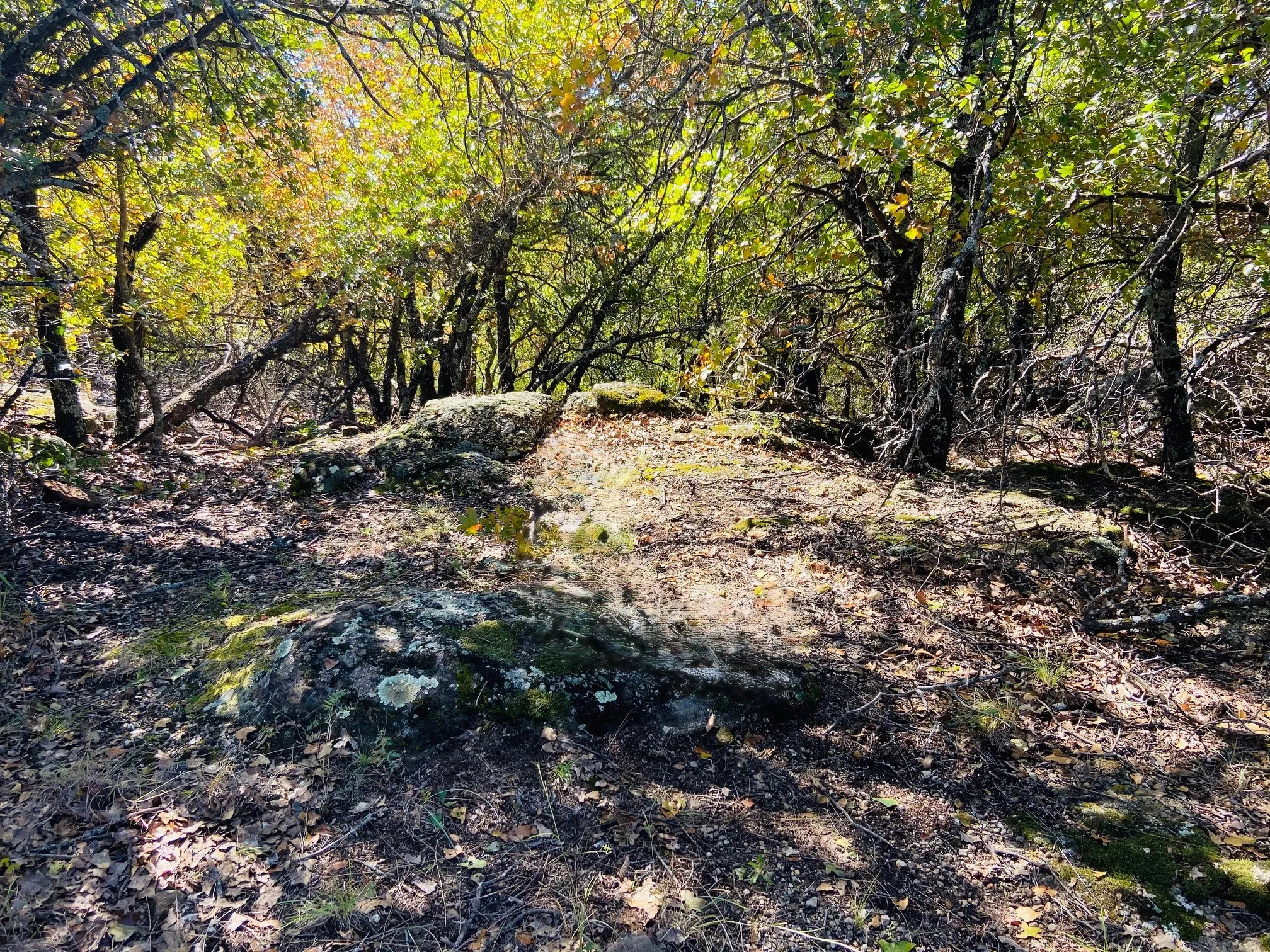 Unimproved Land For Sale in Montague County , Lot 457 Lakeside Drive, Bowie, Texas 76230, 0, 0, Garage spaces, 0 Sqft, built in 0, mls#21345638, Real Estate Agent in Bowie, Homes For Sale in Montague county, Homes For Sale in Bowie, Realtor in Bowie Texas, Real Estate Brokerage Independent Realty Texas, Luminita Cordes Realtor