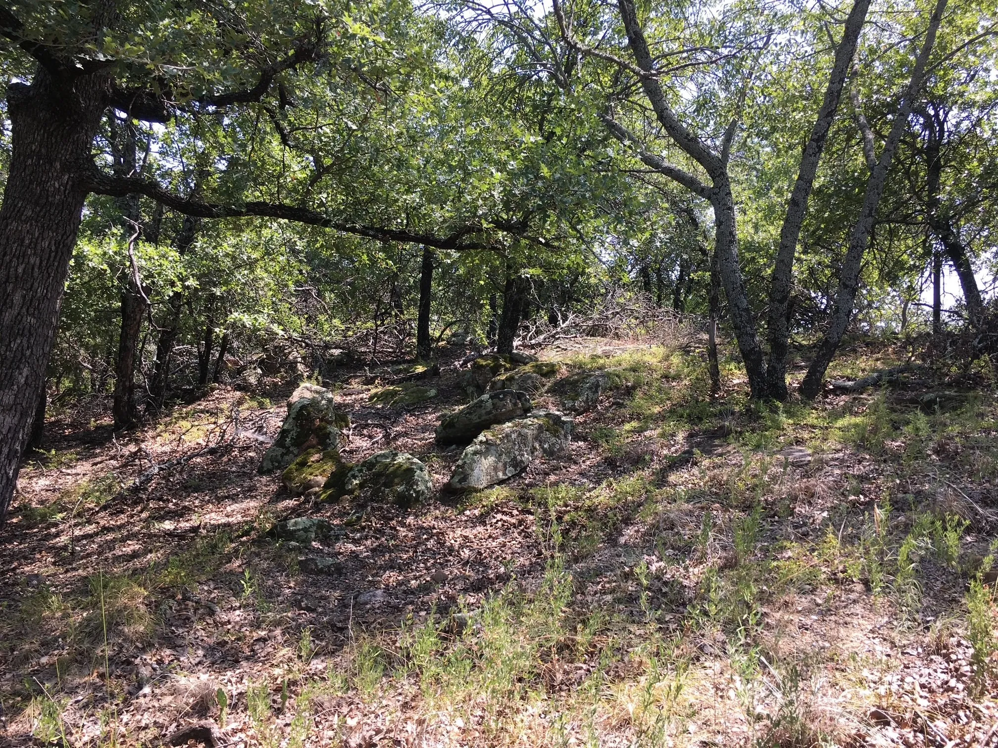 Unimproved Land For Sale in Montague County , Lot 457 Lakeside Drive, Bowie, Texas 76230, 0, 0, Garage spaces, 0 Sqft, built in 0, mls#21345638, Real Estate Agent in Bowie, Homes For Sale in Montague county, Homes For Sale in Bowie, Realtor in Bowie Texas, Real Estate Brokerage Independent Realty Texas, Luminita Cordes Realtor