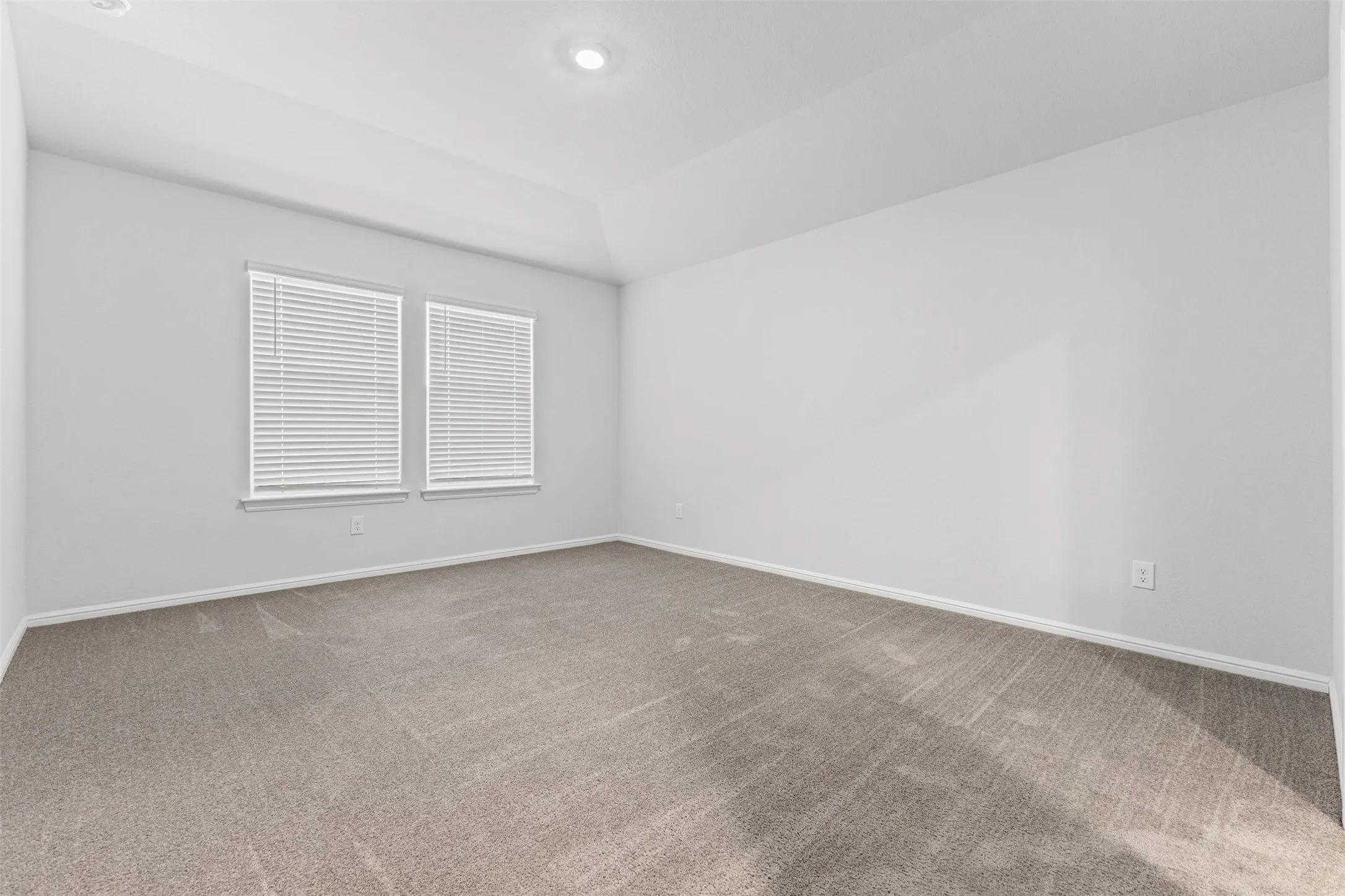 Expansive interior room featuring neutral-toned carpeting and light gray wall finishes