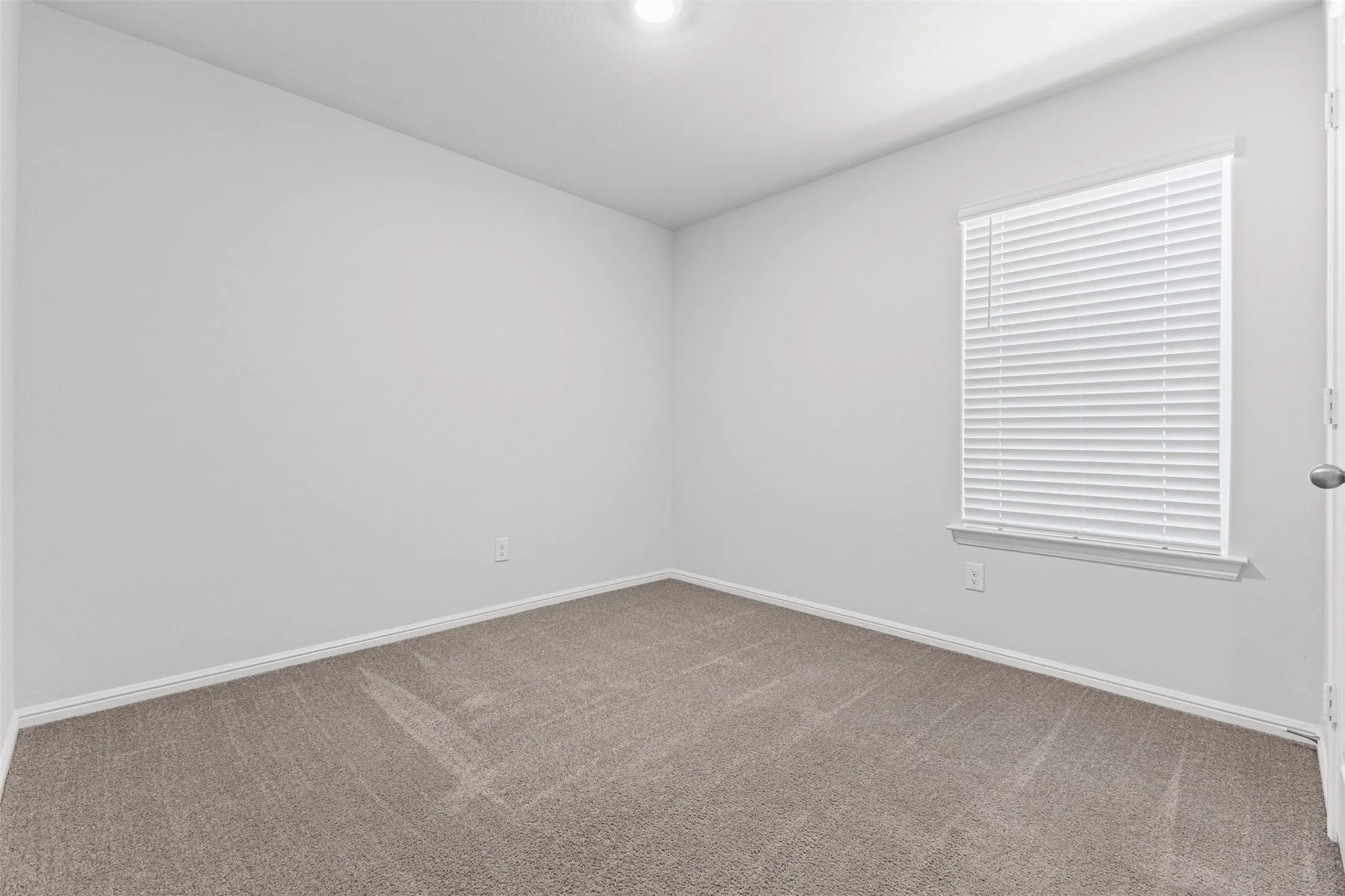 Neutral painted walls with matching trim and textured carpeting