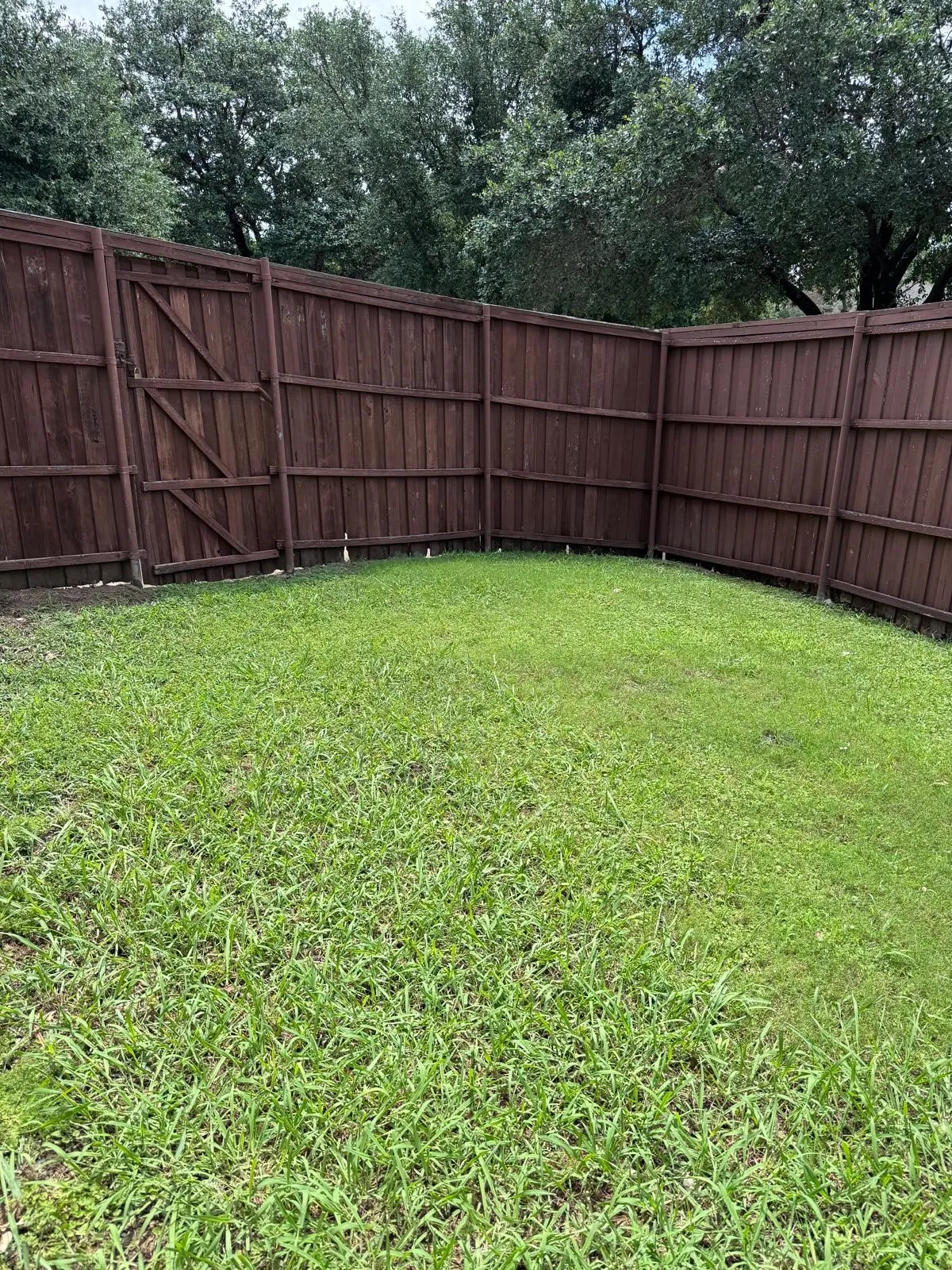 Single Family Residence For Rent in Dallas County , 9702 Windy Hollow Drive, Irving, Texas 75063, 4 Bedroom, 5 Bathroom, 2 Garage spaces, 2,986 Sqft, built in 1996, mls#21345715, Real Estate Agent in Irving, Homes For Rent in Dallas county, Homes For Rent in Irving, Realtor in Irving Texas, Real Estate Brokerage Independent Realty Texas, Luminita Cordes Realtor