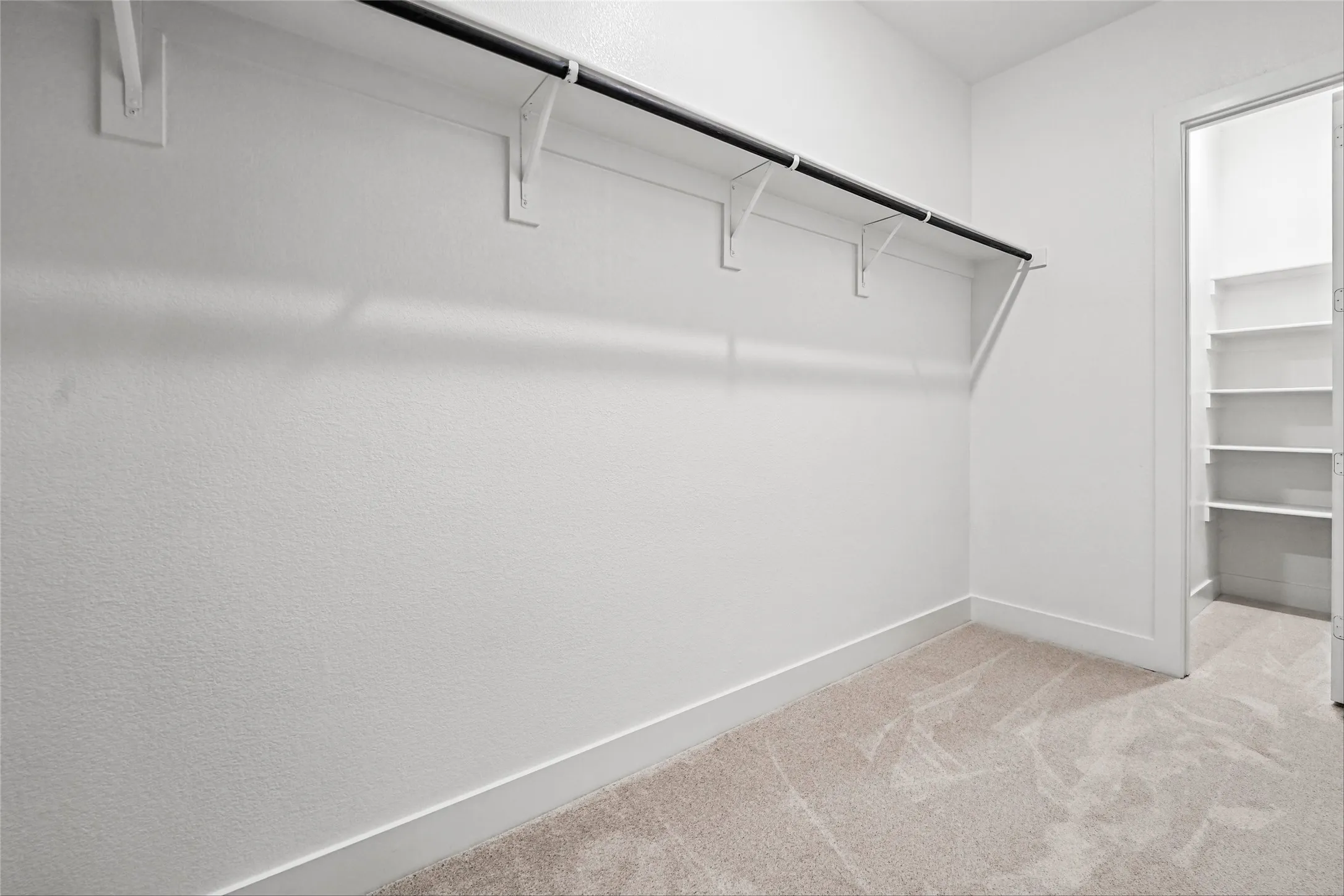 Walk-in closet with carpet flooring, a clothing rod, and an adjacent built-in shelving unit