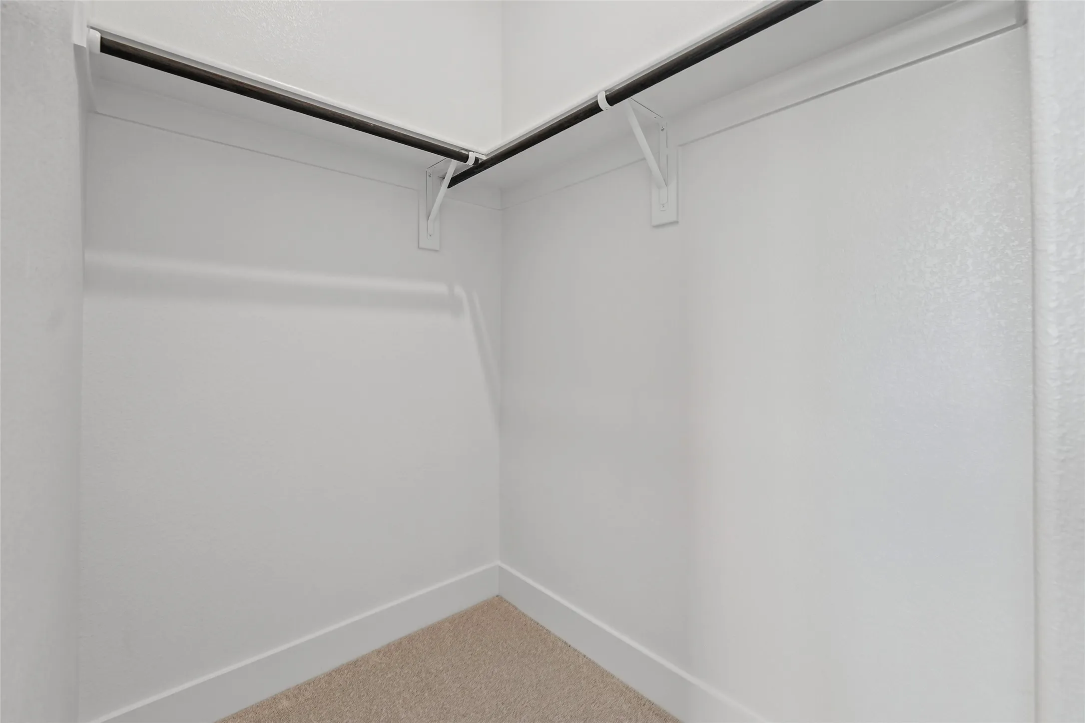 Built-in closet with hanging rods and neutral carpet