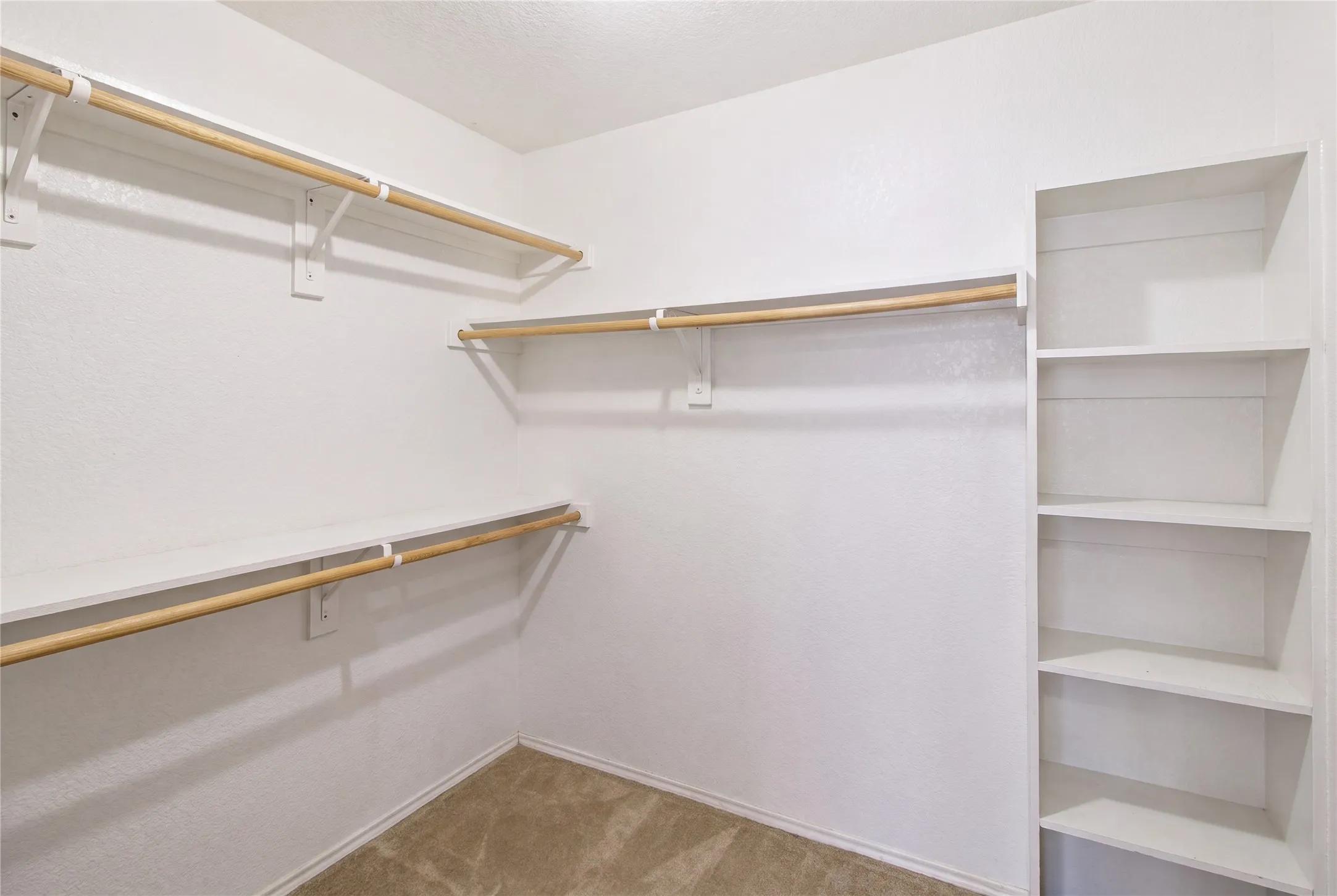 Walk-in closet featuring multiple shelving units, wood-finish hanging rods, and neutral-toned carpeting