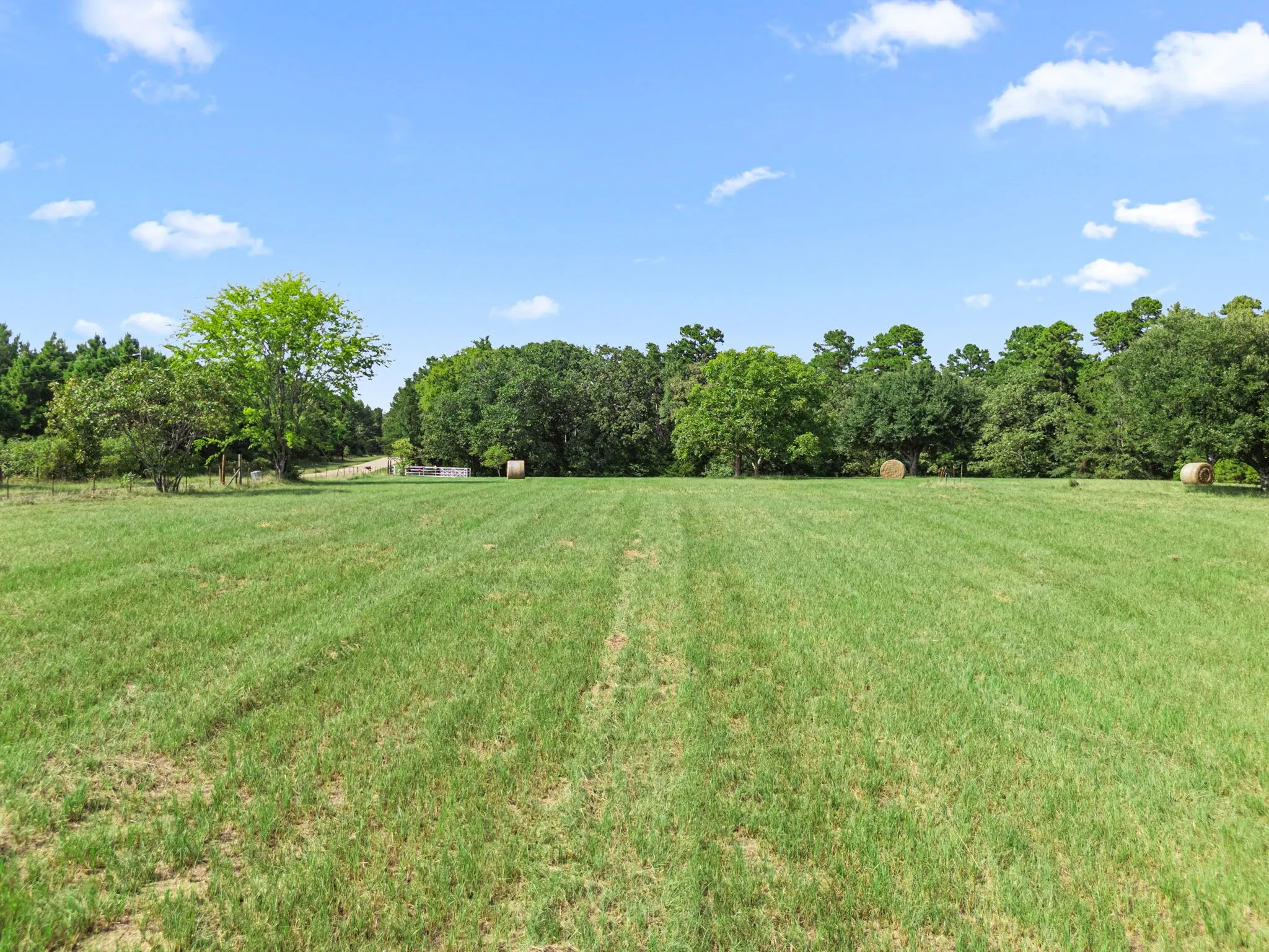 Farm For Sale in Wood County , 1081 County Road 3875, Mineola, Texas 75773, 3 Bedroom, 3 Bathroom, Garage spaces, 2,700 Sqft, built in 1995, mls#21341044, Real Estate Agent in Mineola, Homes For Sale in Wood county, Homes For Sale in Mineola, Realtor in Mineola Texas, Real Estate Brokerage Independent Realty Texas, Luminita Cordes Realtor