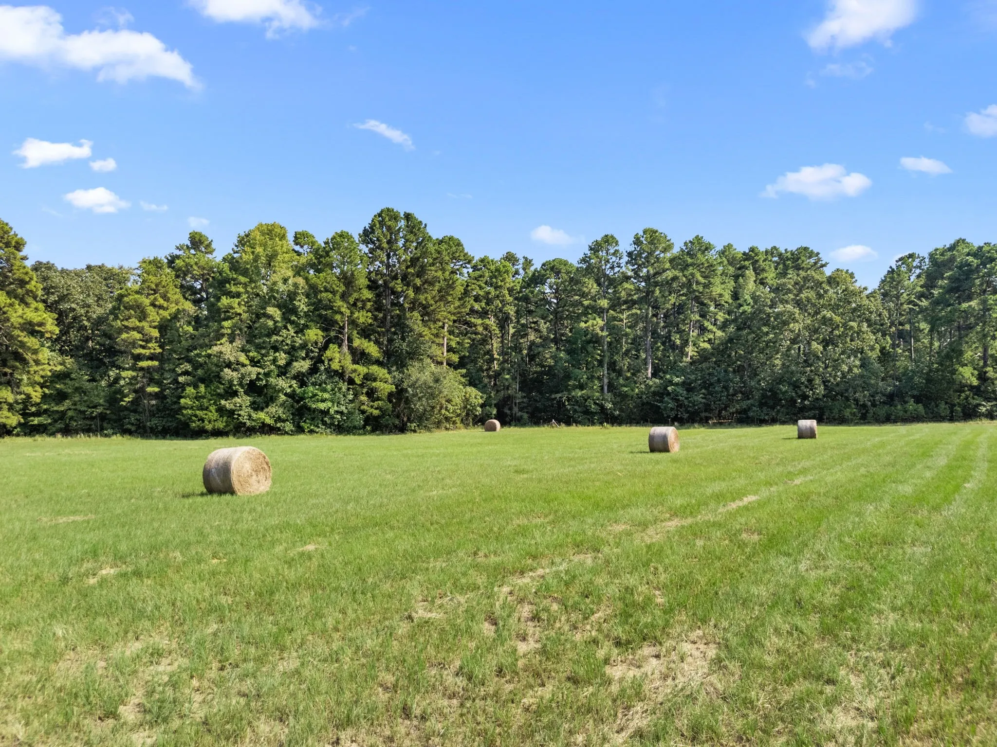 Farm For Sale in Wood County , 1081 County Road 3875, Mineola, Texas 75773, 3 Bedroom, 3 Bathroom, Garage spaces, 2,700 Sqft, built in 1995, mls#21341044, Real Estate Agent in Mineola, Homes For Sale in Wood county, Homes For Sale in Mineola, Realtor in Mineola Texas, Real Estate Brokerage Independent Realty Texas, Luminita Cordes Realtor