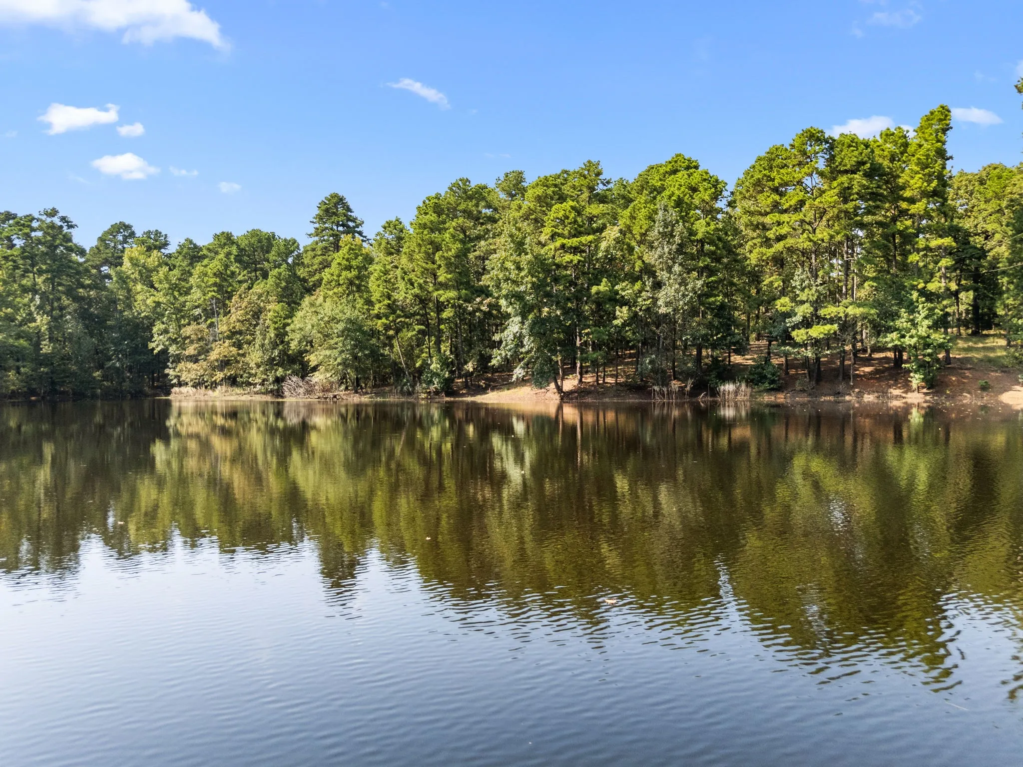 Farm For Sale in Wood County , 1081 County Road 3875, Mineola, Texas 75773, 3 Bedroom, 3 Bathroom, Garage spaces, 2,700 Sqft, built in 1995, mls#21341044, Real Estate Agent in Mineola, Homes For Sale in Wood county, Homes For Sale in Mineola, Realtor in Mineola Texas, Real Estate Brokerage Independent Realty Texas, Luminita Cordes Realtor