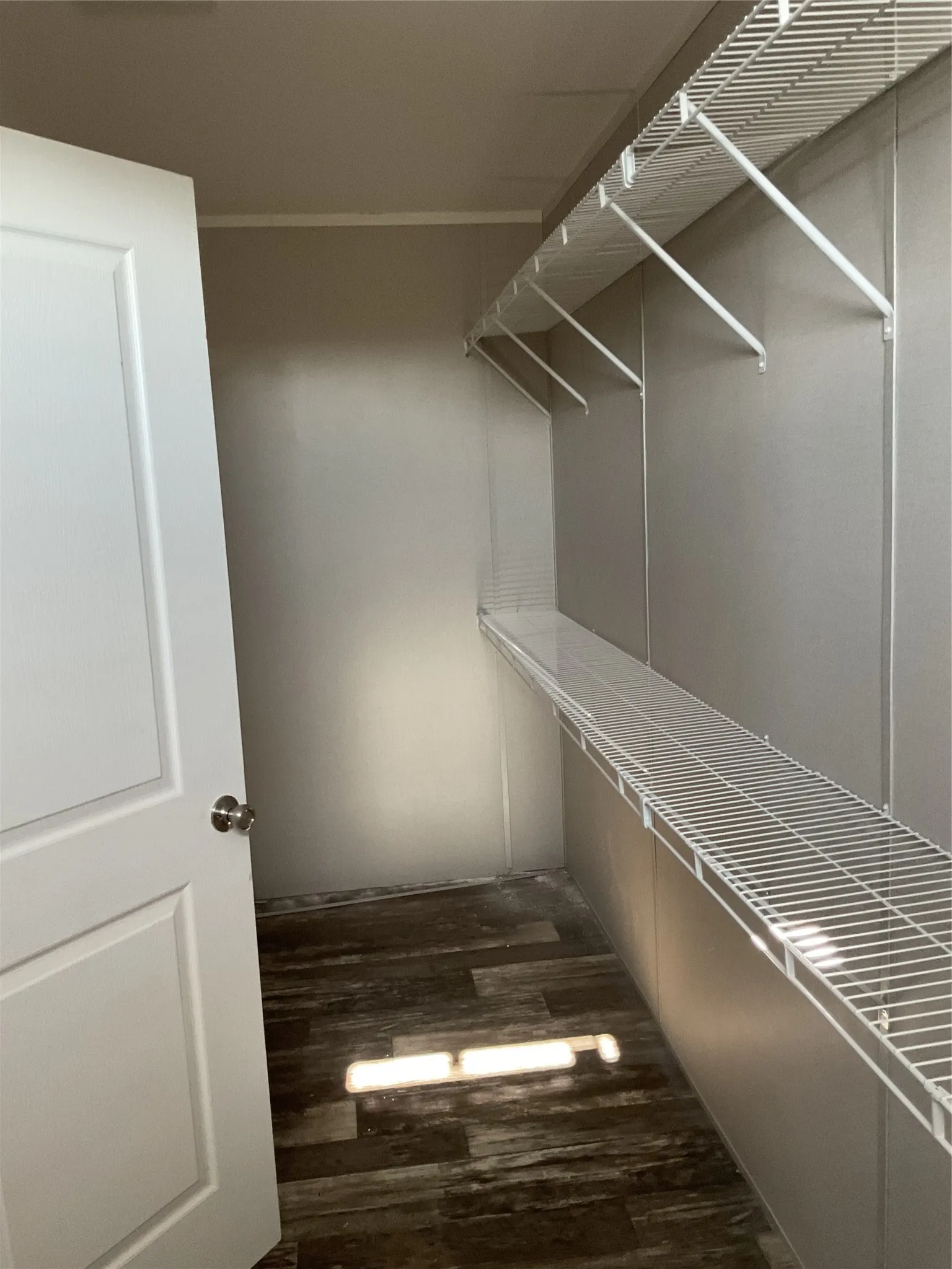 Walk-in closet with multi-tier wire shelving, wood-finish flooring, and a paneled interior door