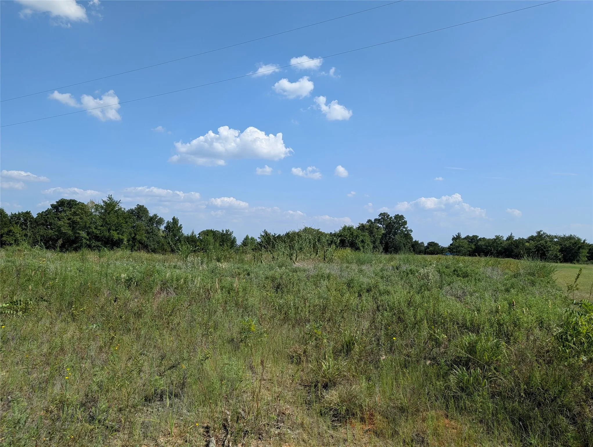 Unimproved Land For Sale in Cooke County , LOT 2 County Road 147, Gainesville, Texas 76240, 0, 0, Garage spaces, 0 Sqft, built in 0, Price $150,000, mls#21341570, Real Estate Agent in Gainesville, Homes For Sale in Cooke county, Homes For Sale in Gainesville, Realtor in Gainesville Texas, Real Estate Brokerage Independent Realty Texas, Luminita Cordes Realtor