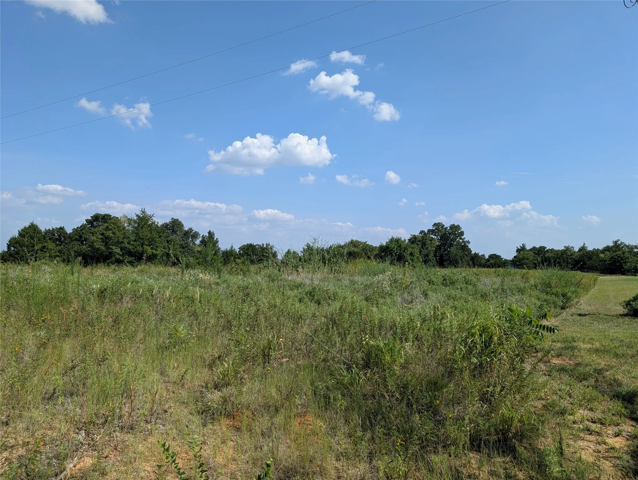 Unimproved Land For Sale in Cooke County , LOT 2 County Road 147, Gainesville, Texas 76240, 0, 0, Garage spaces, 0 Sqft, built in 0, Price $150,000, mls#21341570, Real Estate Agent in Gainesville, Homes For Sale in Cooke county, Homes For Sale in Gainesville, Realtor in Gainesville Texas, Real Estate Brokerage Independent Realty Texas, Luminita Cordes Realtor