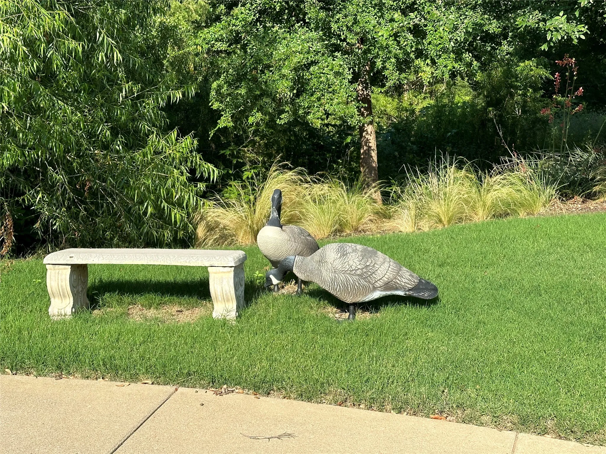 Single Family Residence For Rent in Collin County , 1865 Wood Duck Lane, Allen, Texas 75013, 4 Bedroom, 3 Bathroom, 2 Garage spaces, 2,669 Sqft, built in 2014, mls#21345655, Real Estate Agent in Allen, Homes For Rent in Collin county, Homes For Rent in Allen, Realtor in Allen Texas, Real Estate Brokerage Independent Realty Texas, Luminita Cordes Realtor