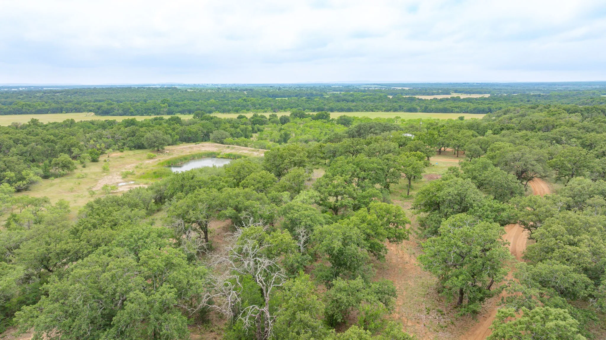 Improved Land For Sale in Comanche County , 983 CR 185, Comanche, Texas 76442, 0, 0, Garage spaces, 0 Sqft, built in 0, mls#21342707, Real Estate Agent in Comanche, Homes For Sale in Comanche county, Homes For Sale in Comanche, Realtor in Comanche Texas, Real Estate Brokerage Independent Realty Texas, Luminita Cordes Realtor