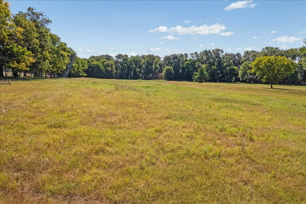 Pasture facing east