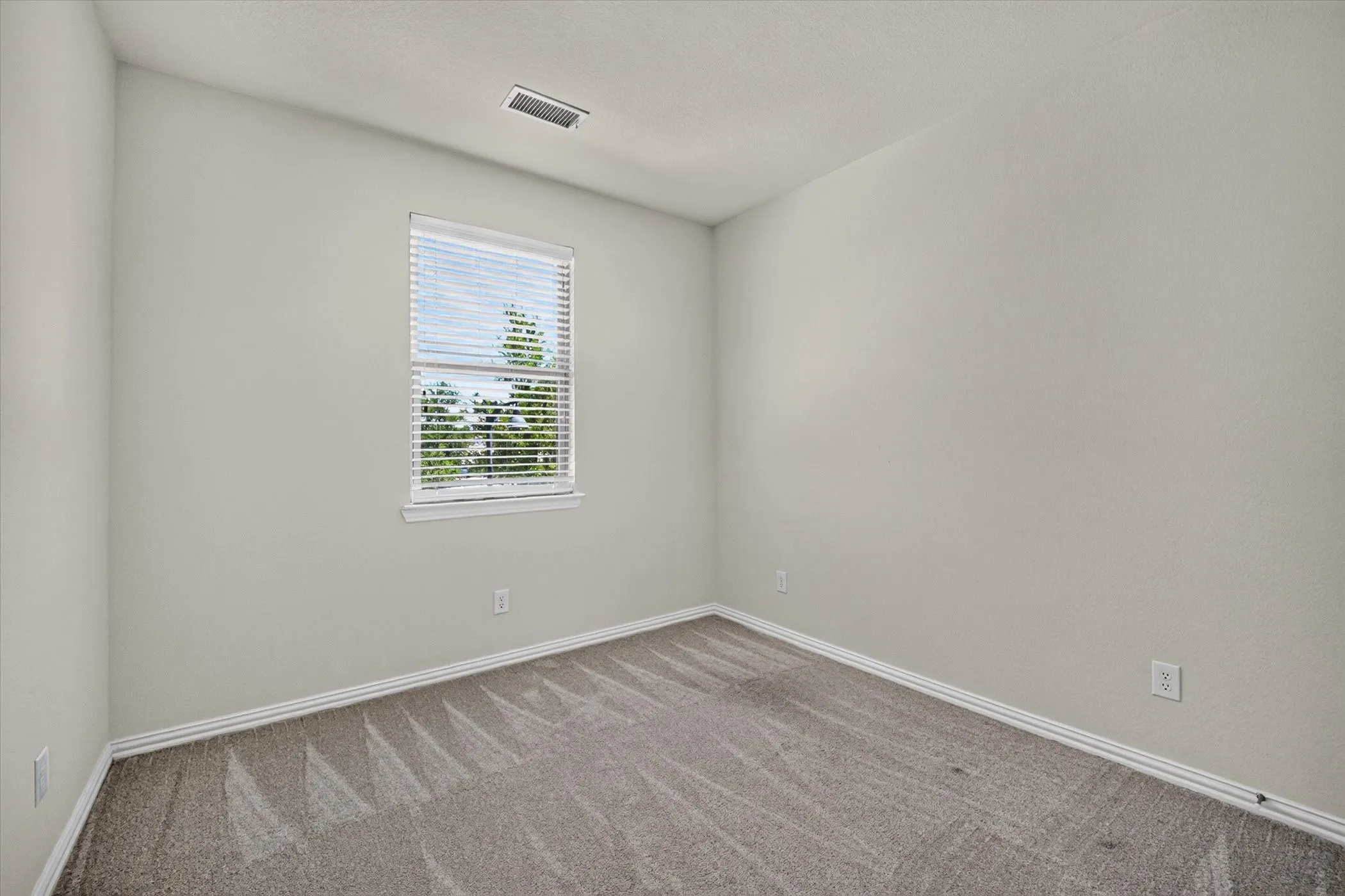 Neutral wall tones complement plush patterned carpeting