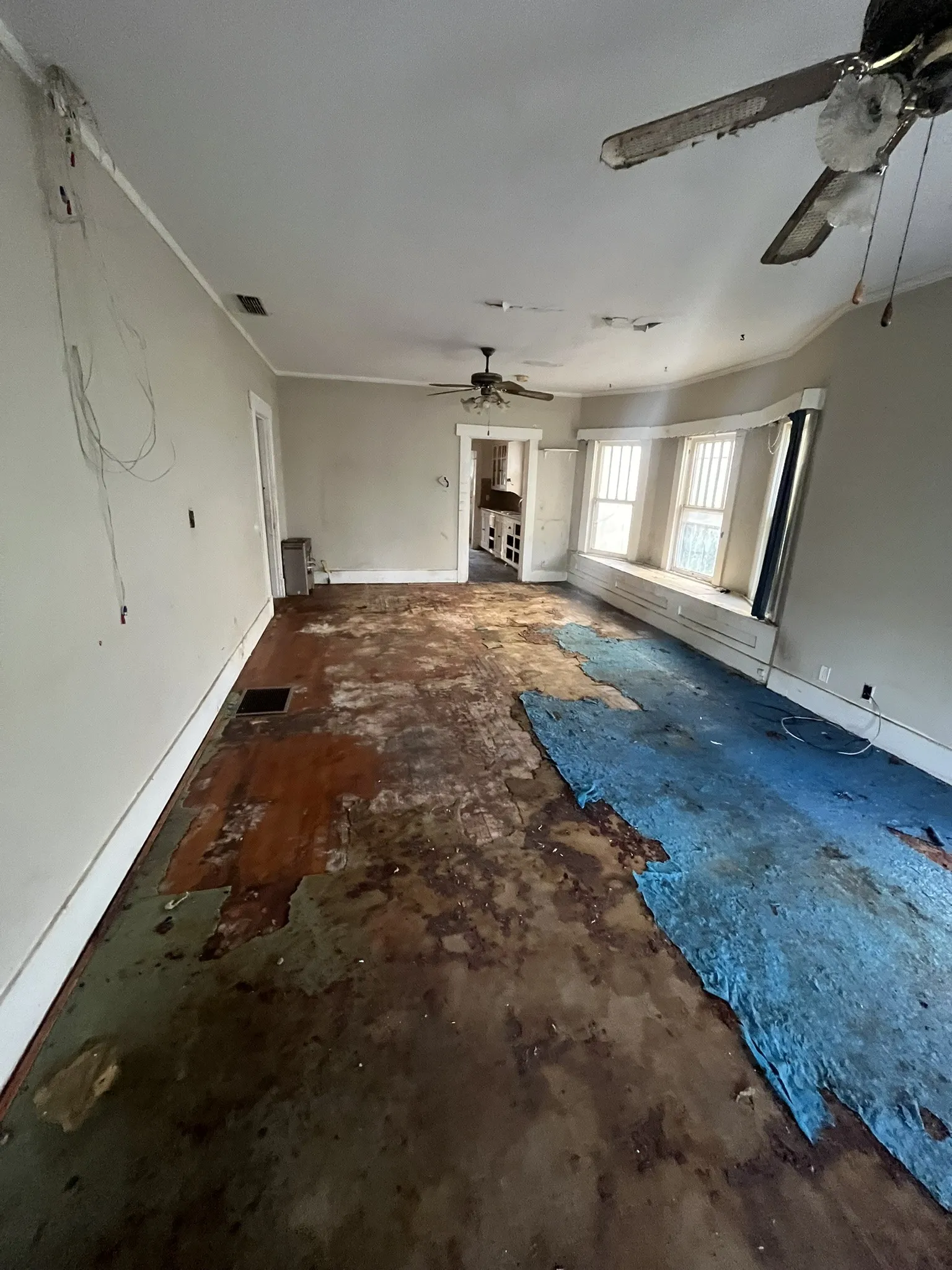 Spacious room featuring multiple windows, two ceiling fans, and a doorway leading to an additional space