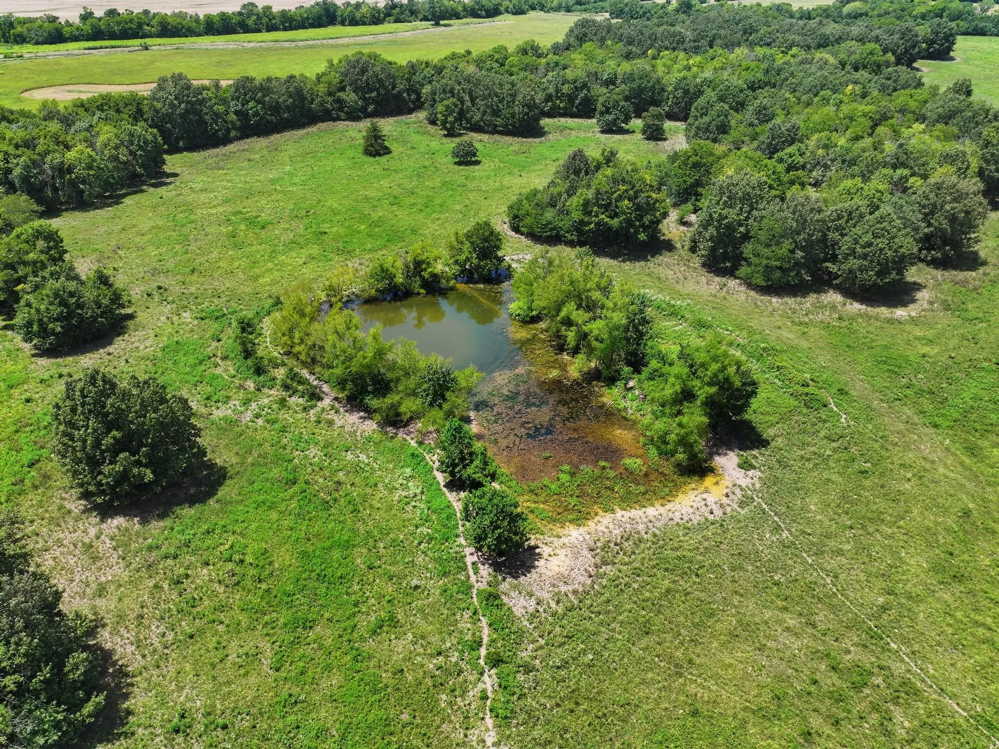 Farm For Sale in Red River (TX) County , 7091 FARM MARKET 412, Clarksville, Texas 75426, 2 Bedroom, 2 Bathroom, Garage spaces, 1,360 Sqft, built in 2023, mls#21345601, Real Estate Agent in Clarksville, Homes For Sale in Red River (TX) county, Homes For Sale in Clarksville, Realtor in Clarksville Texas, Real Estate Brokerage Independent Realty Texas, Luminita Cordes Realtor