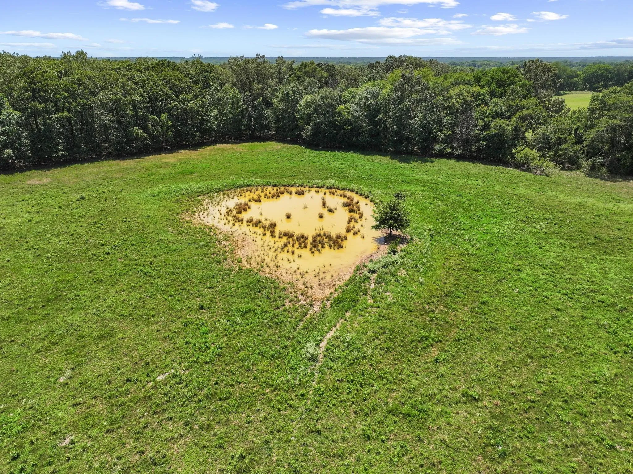 Farm For Sale in Red River (TX) County , 7091 FARM MARKET 412, Clarksville, Texas 75426, 2 Bedroom, 2 Bathroom, Garage spaces, 1,360 Sqft, built in 2023, mls#21345601, Real Estate Agent in Clarksville, Homes For Sale in Red River (TX) county, Homes For Sale in Clarksville, Realtor in Clarksville Texas, Real Estate Brokerage Independent Realty Texas, Luminita Cordes Realtor