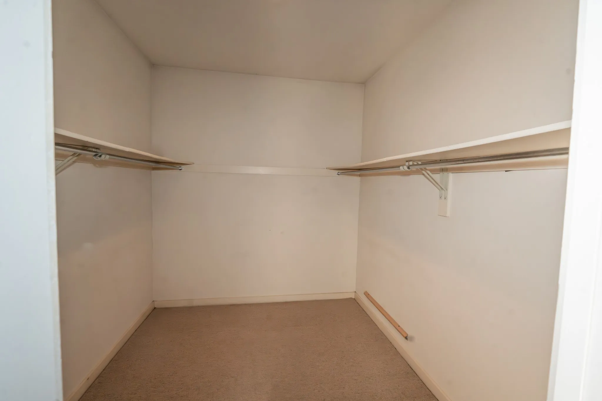 Walk-in closet for primary bedroom with carpet flooring and white walls