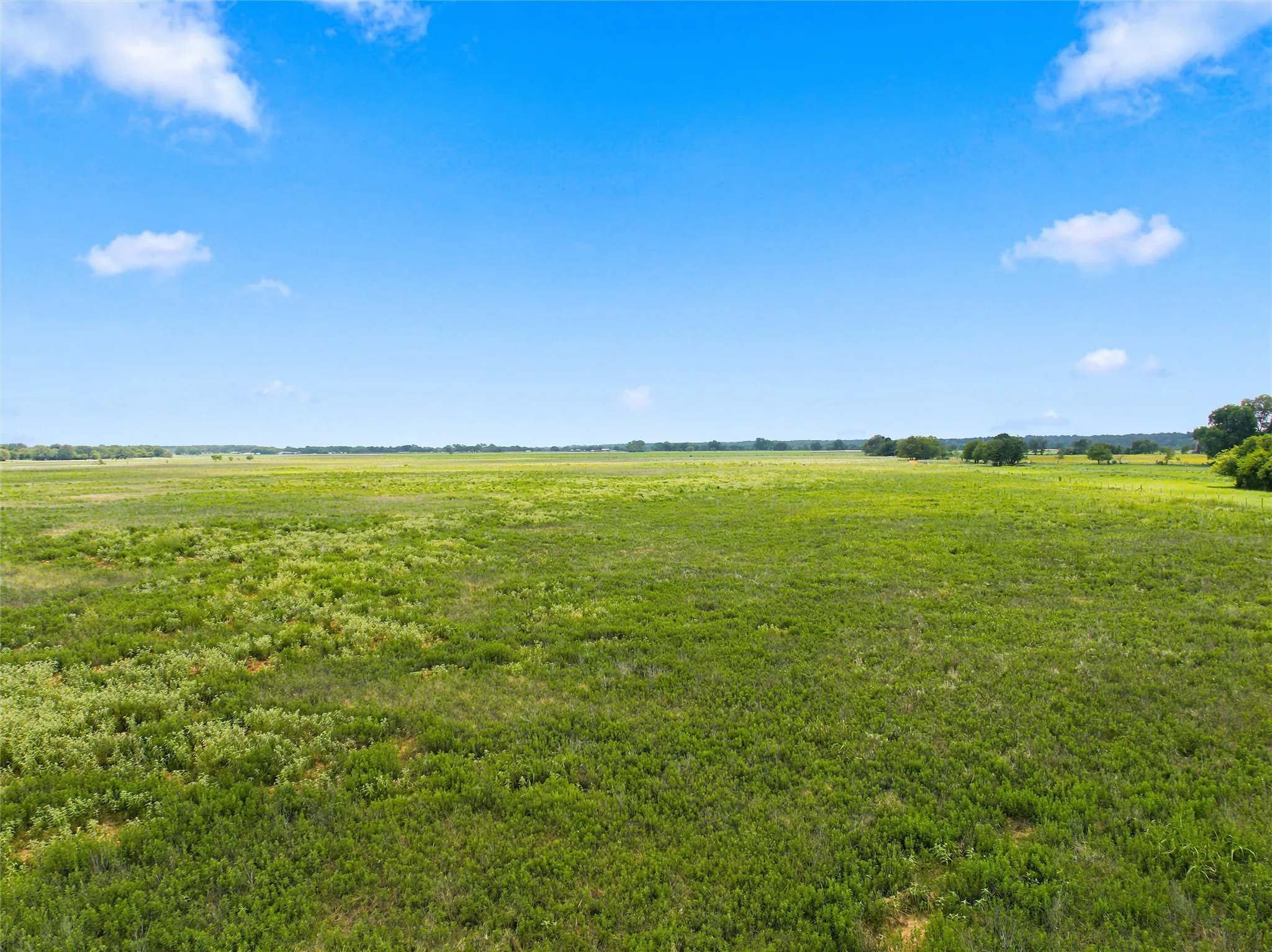 Improved Land For Sale in Mc Lennan County , 495 Jake Sparks Drive, Waco, Texas 76705, 0, 0, Garage spaces, 0 Sqft, built in 0, mls#21345991, Real Estate Agent in Waco, Homes For Sale in Mc Lennan county, Homes For Sale in Waco, Realtor in Waco Texas, Real Estate Brokerage Independent Realty Texas, Luminita Cordes Realtor