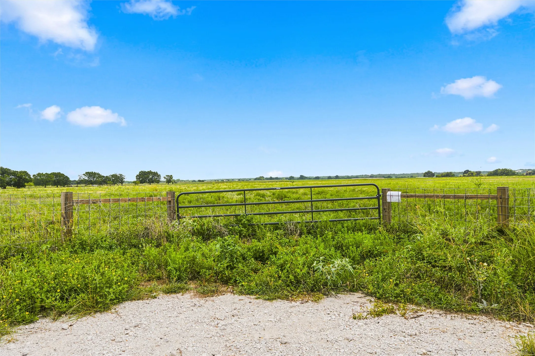 Improved Land For Sale in Mc Lennan County , 495 Jake Sparks Drive, Waco, Texas 76705, 0, 0, Garage spaces, 0 Sqft, built in 0, mls#21345991, Real Estate Agent in Waco, Homes For Sale in Mc Lennan county, Homes For Sale in Waco, Realtor in Waco Texas, Real Estate Brokerage Independent Realty Texas, Luminita Cordes Realtor