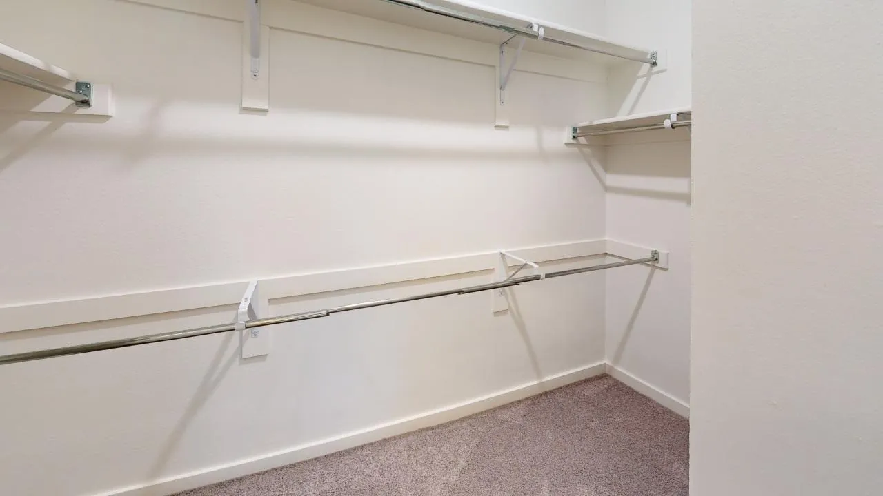 Walk-in closet with carpet flooring, white walls, and built-in shelving