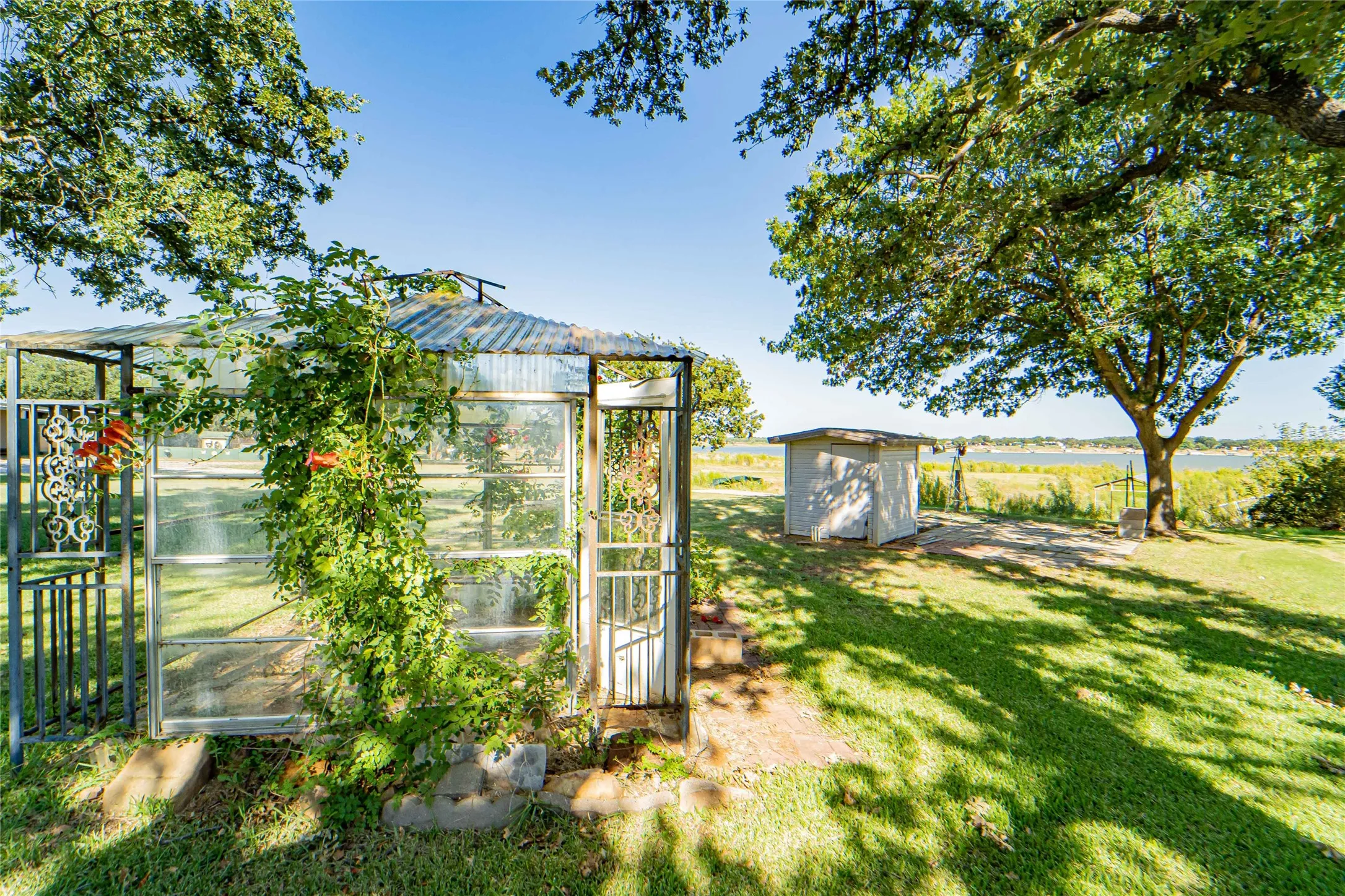 Glass and metal framed greenhouse structure with a corrugated roof, featuring climbing vines and a decorative wrought iron gate