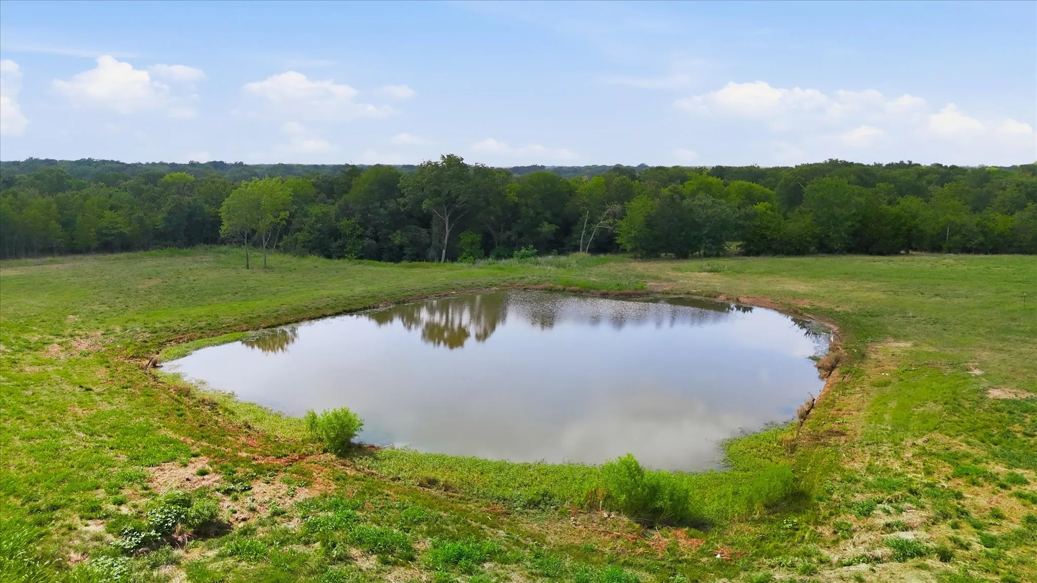 Unimproved Land For Sale in Rains County , TBD Private Road 5440 Lot 19, Point, Texas 75472, 0, 0, Garage spaces, 0 Sqft, built in 0, Price $110,250, mls#21345864, Real Estate Agent in Point, Homes For Sale in Rains county, Homes For Sale in Point, Realtor in Point Texas, Real Estate Brokerage Independent Realty Texas, Luminita Cordes Realtor