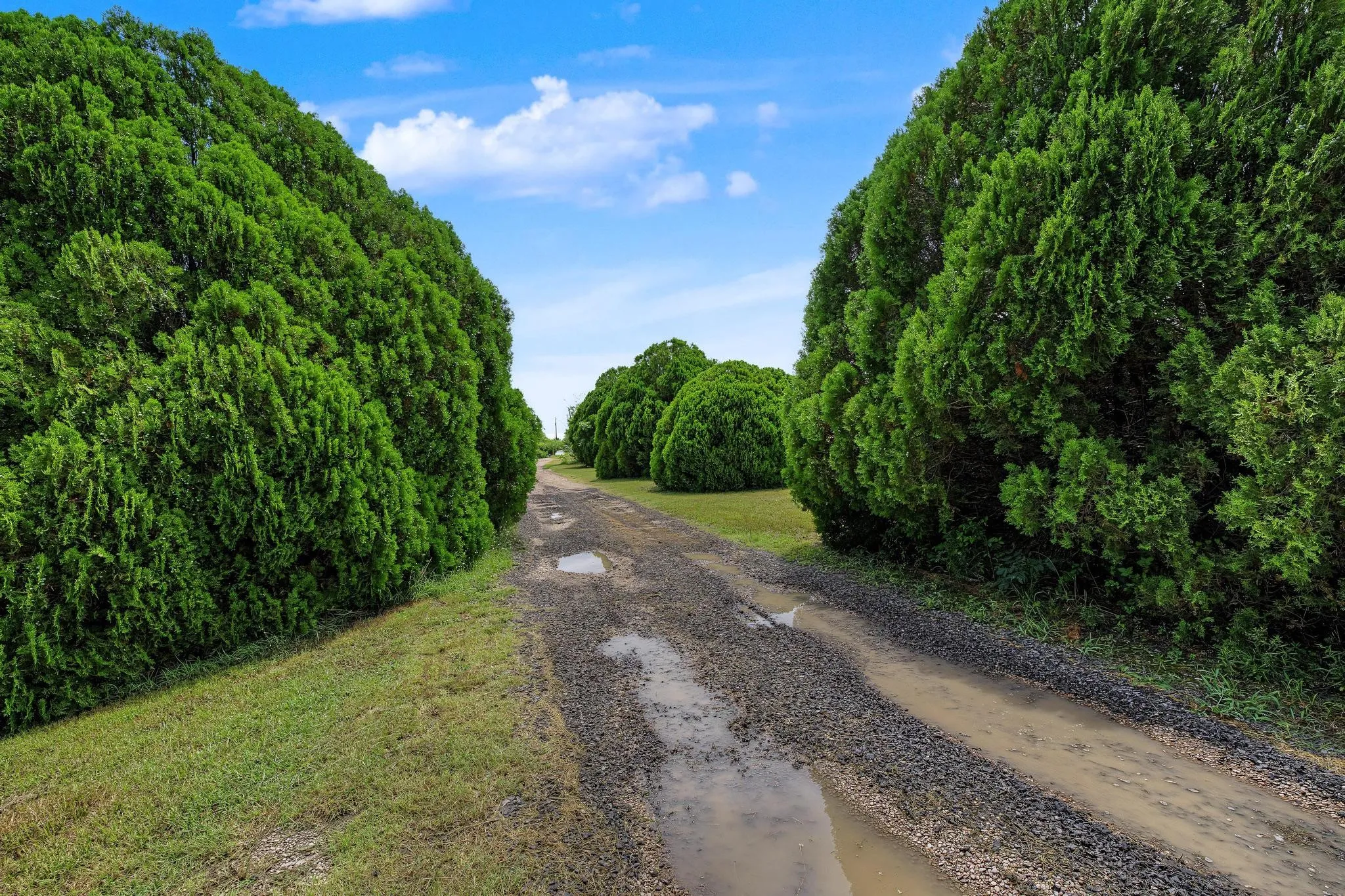 Improved Land For Sale in Collin County , 2580 Fm 546, Mc Kinney, Texas 75069, 0, 0, Garage spaces, 0 Sqft, built in 1950, Price $1,250,000, mls#21336130, Real Estate Agent in Mc Kinney, Homes For Sale in Collin county, Homes For Sale in Mc Kinney, Realtor in Mc Kinney Texas, Real Estate Brokerage Independent Realty Texas, Luminita Cordes Realtor