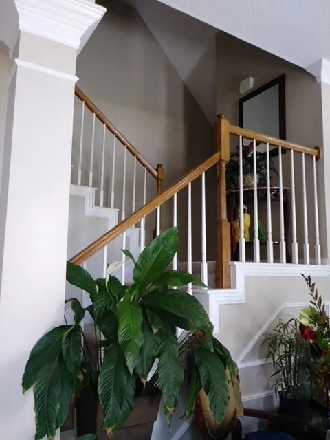 Single Family Residence For Sale in Dallas County , 1128 Sawsawi Trail, De Soto, Texas 75115, 5 Bedroom, 3 Bathroom, 2 Garage spaces, 2,651 Sqft, built in 2001, mls#21346094, Real Estate Agent in De Soto, Homes For Sale in Dallas county, Homes For Sale in De Soto, Realtor in De Soto Texas, Real Estate Brokerage Independent Realty Texas, Luminita Cordes Realtor